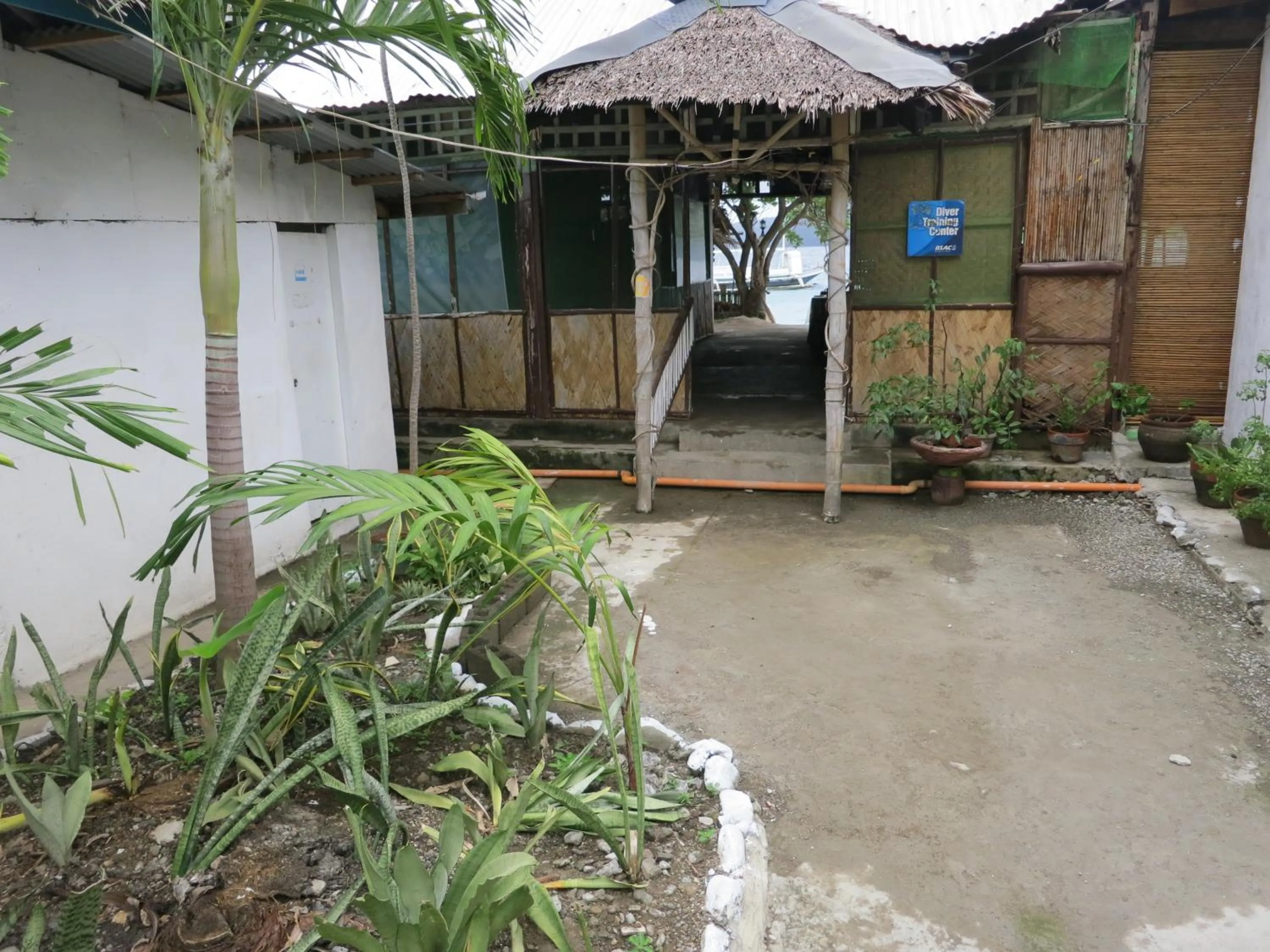 Garden in Anilao Scuba Dive Center (ASDC)