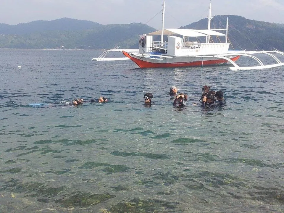 Anilao Scuba Dive Center (ASDC)