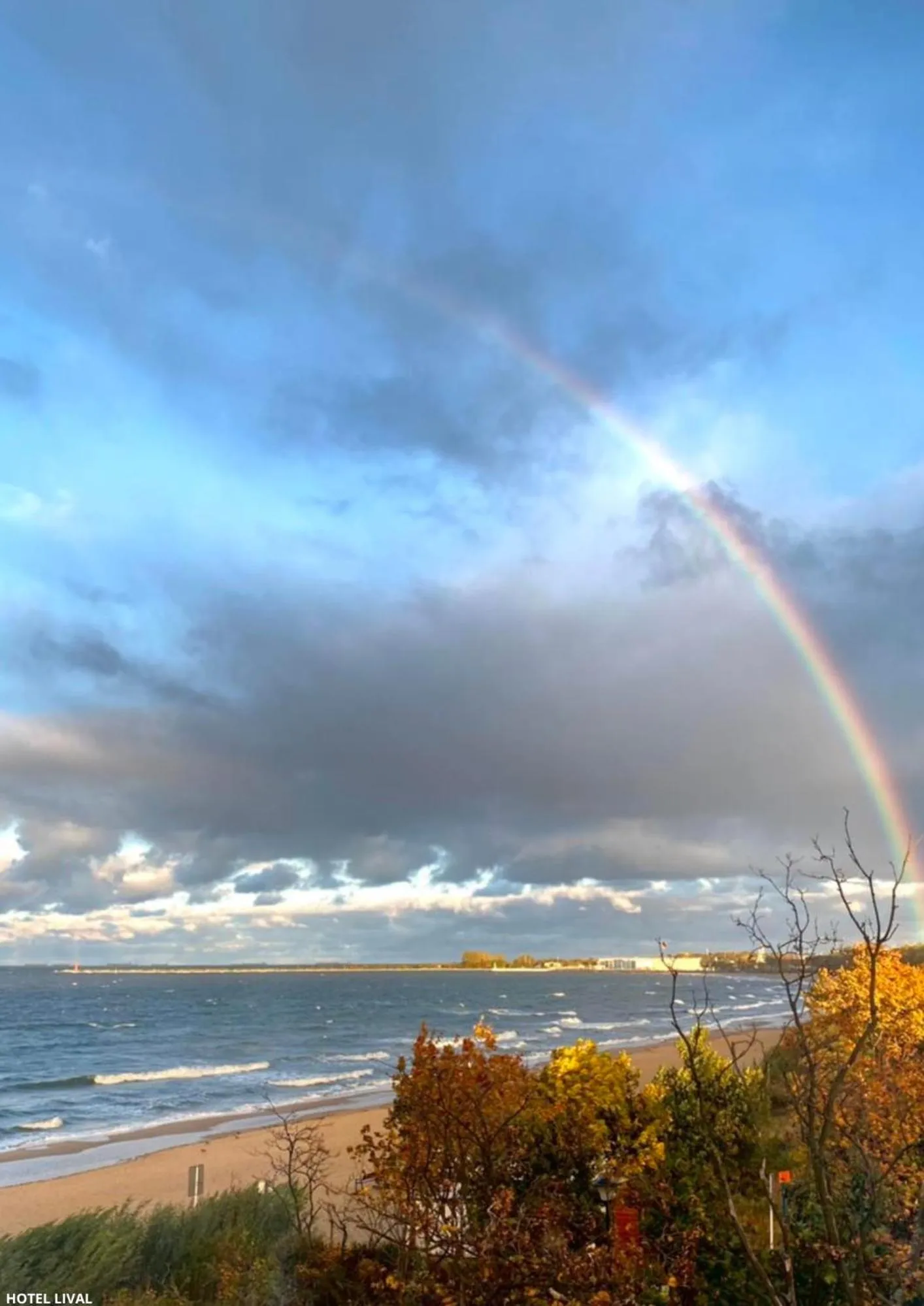 Natural landscape in Hotel Lival
