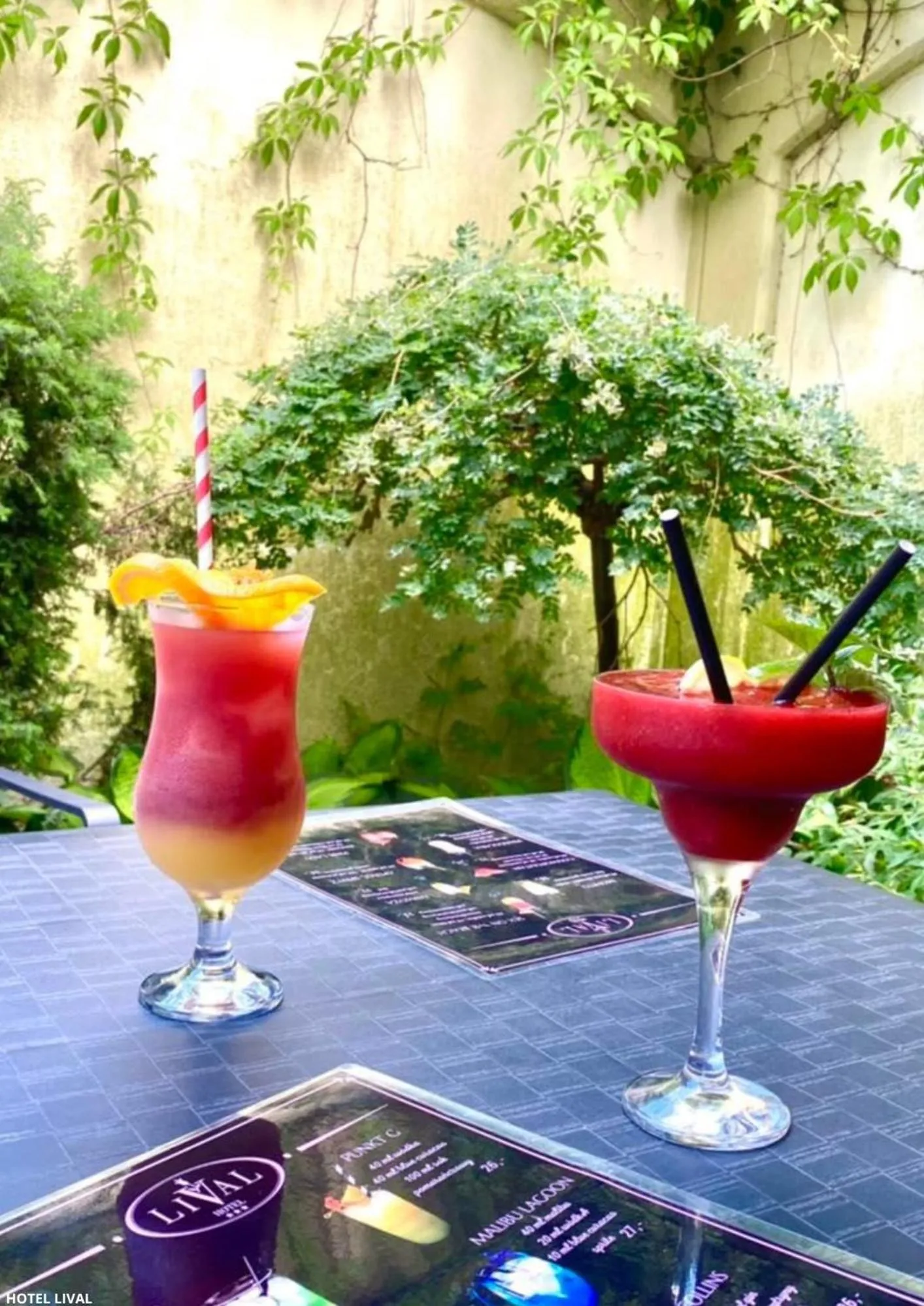 Garden in Hotel Lival