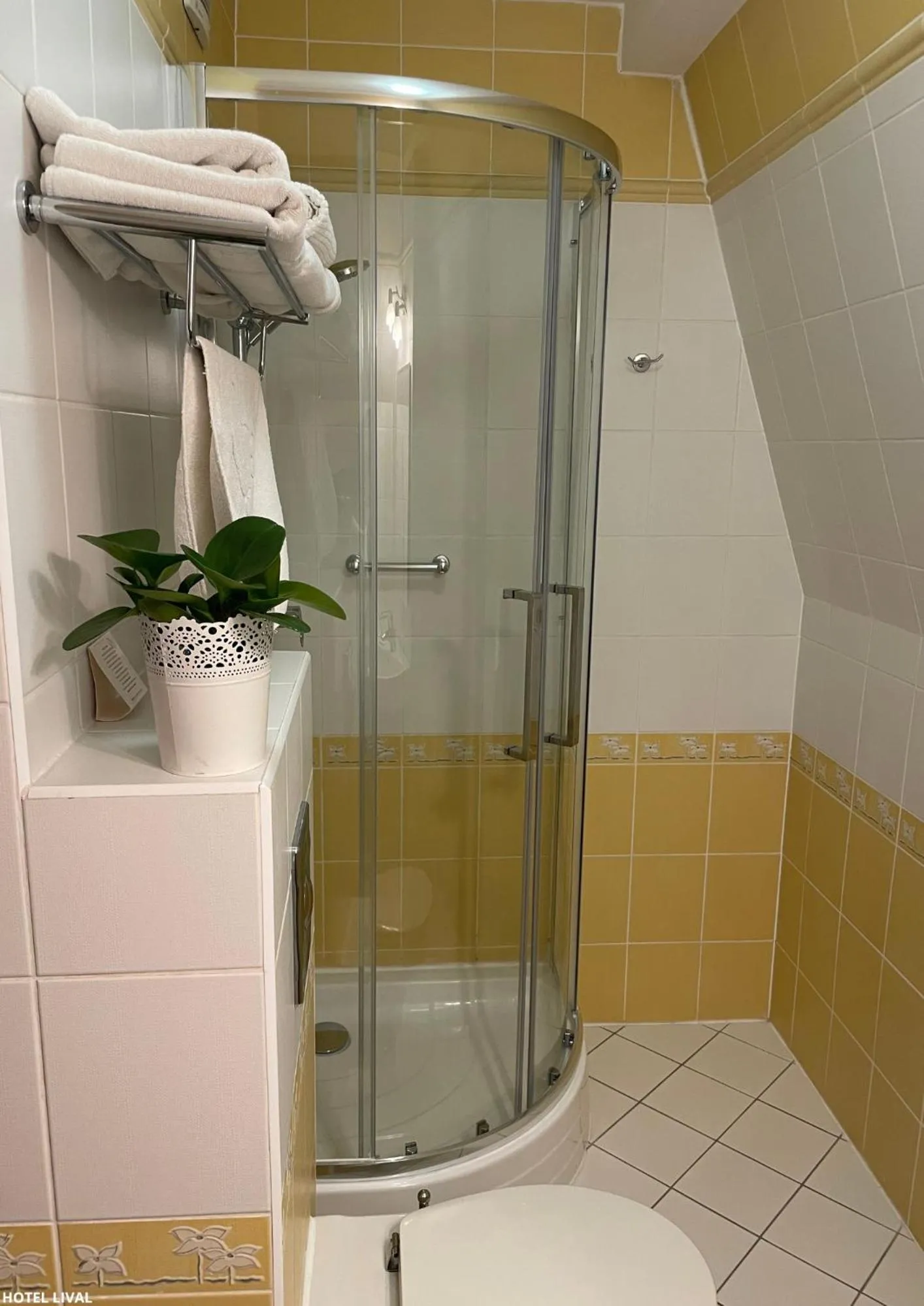 Shower in Hotel Lival