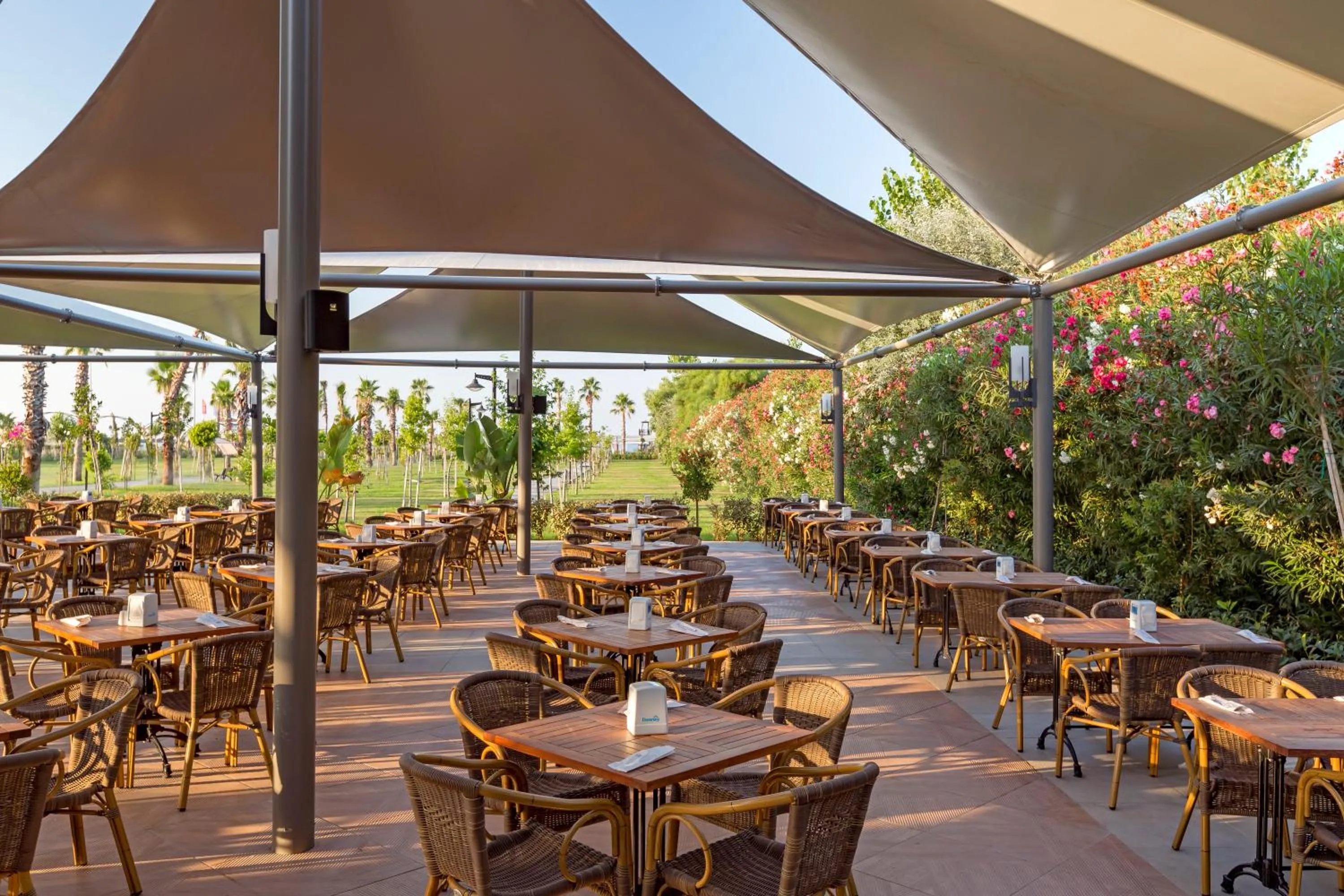 Other in Royal Seginus