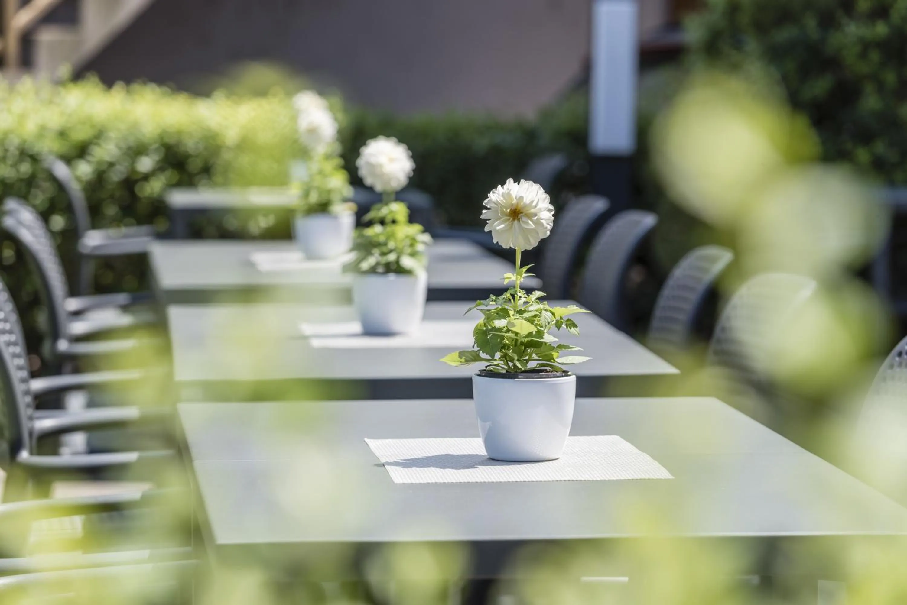 Patio in Hotel Elefant