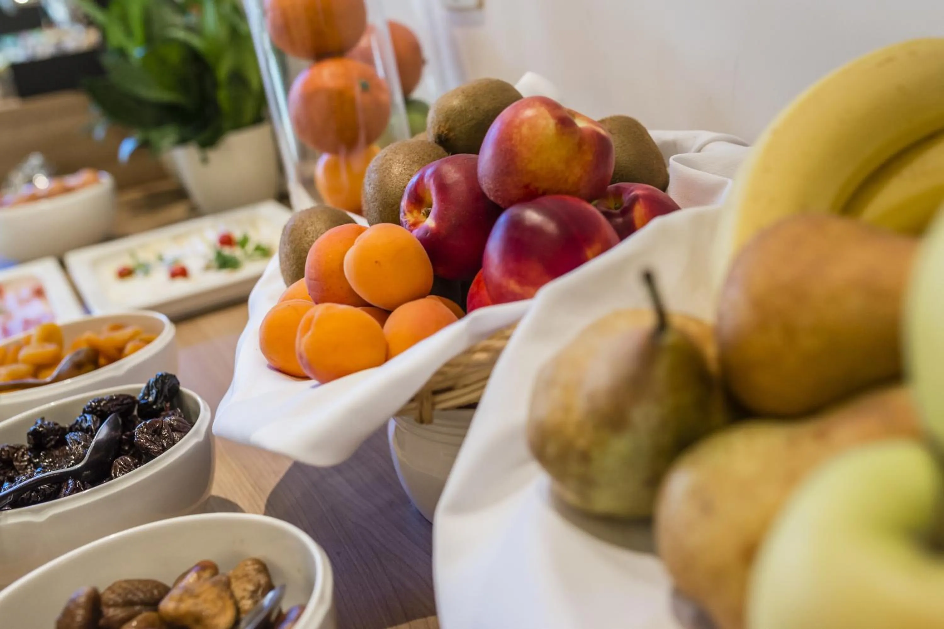 Restaurant/places to eat in Hotel Elefant