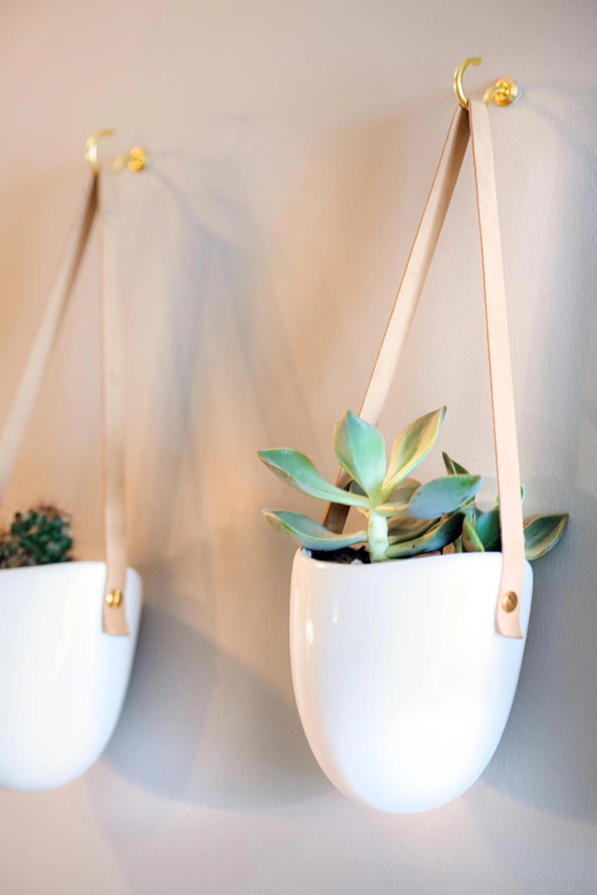 Decorative detail in Fort Young Hotel