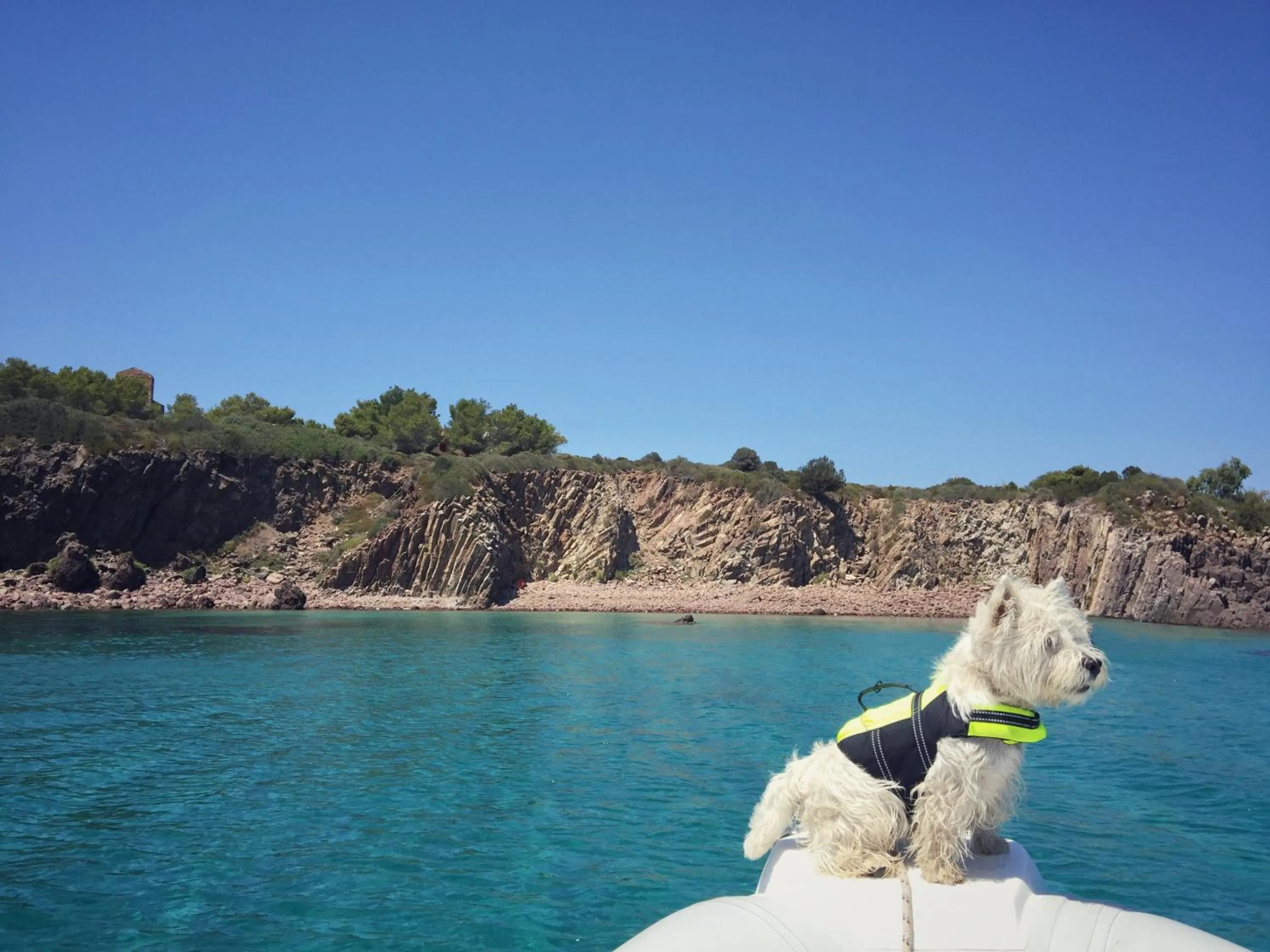 Neighbourhood in Villa Brigida