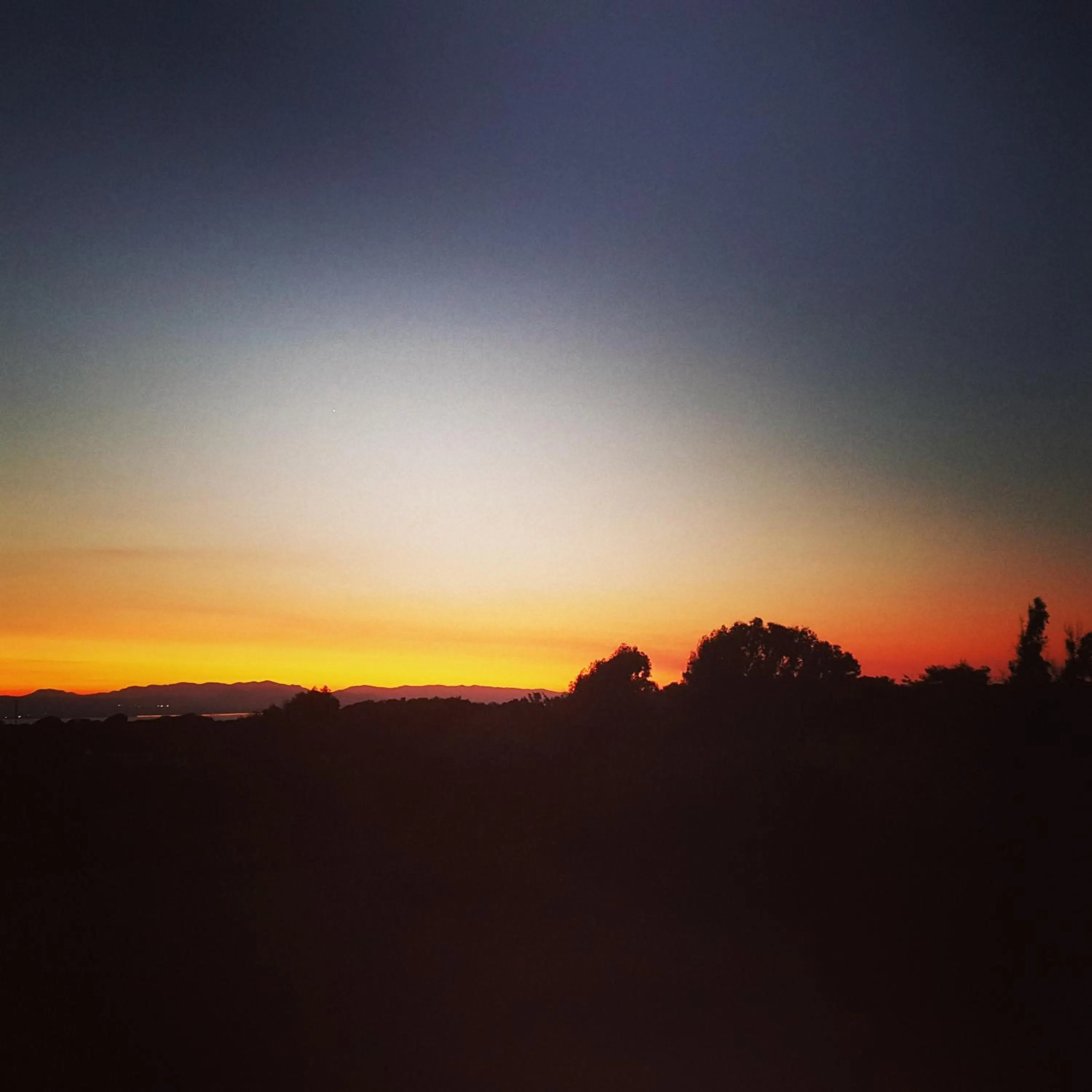 Natural landscape in Villa Brigida