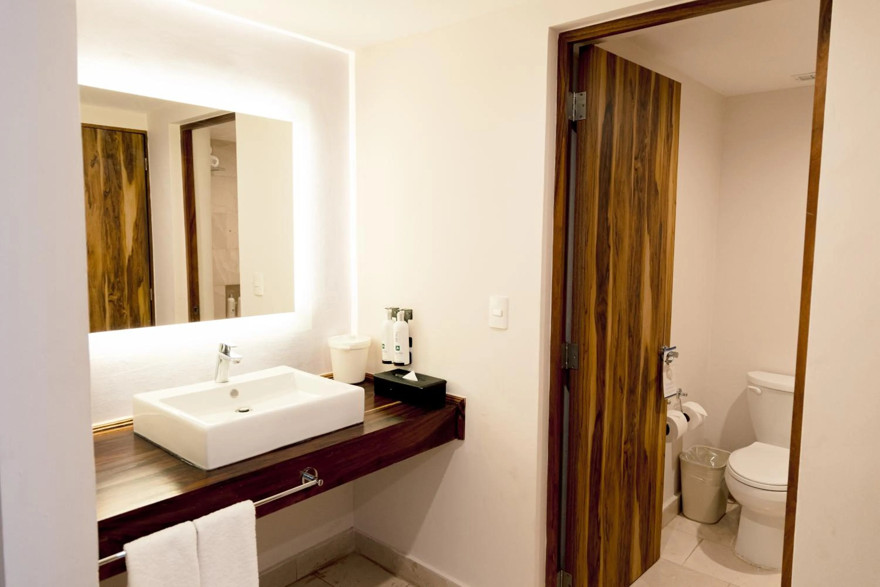 Bathroom in Holiday Inn Resort Ixtapa All-Inclusive by IHG