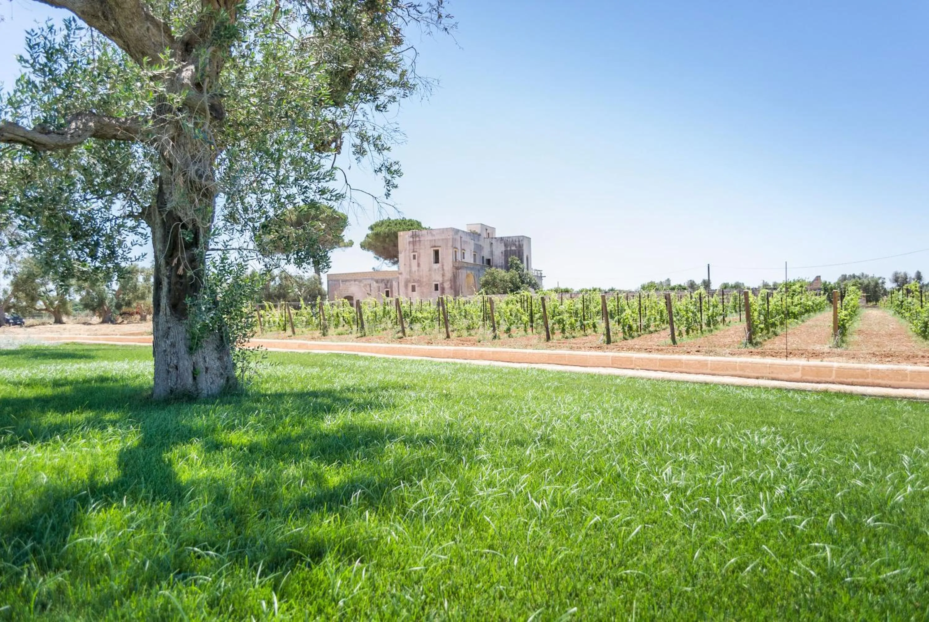 Garden in Tenuta Mosè Charming House&Relais Gallipoli