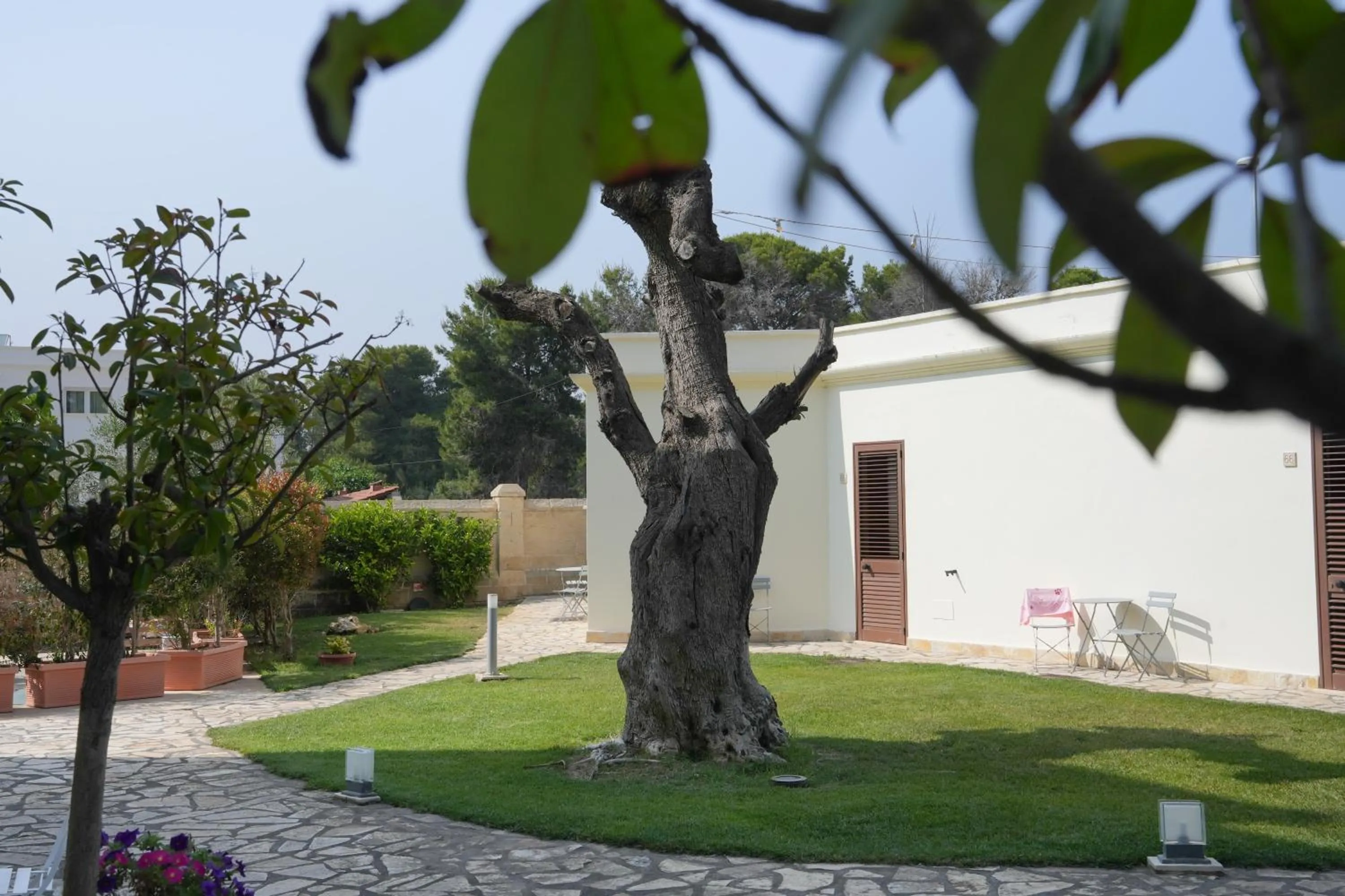 Day in Resort Villa Hermosa