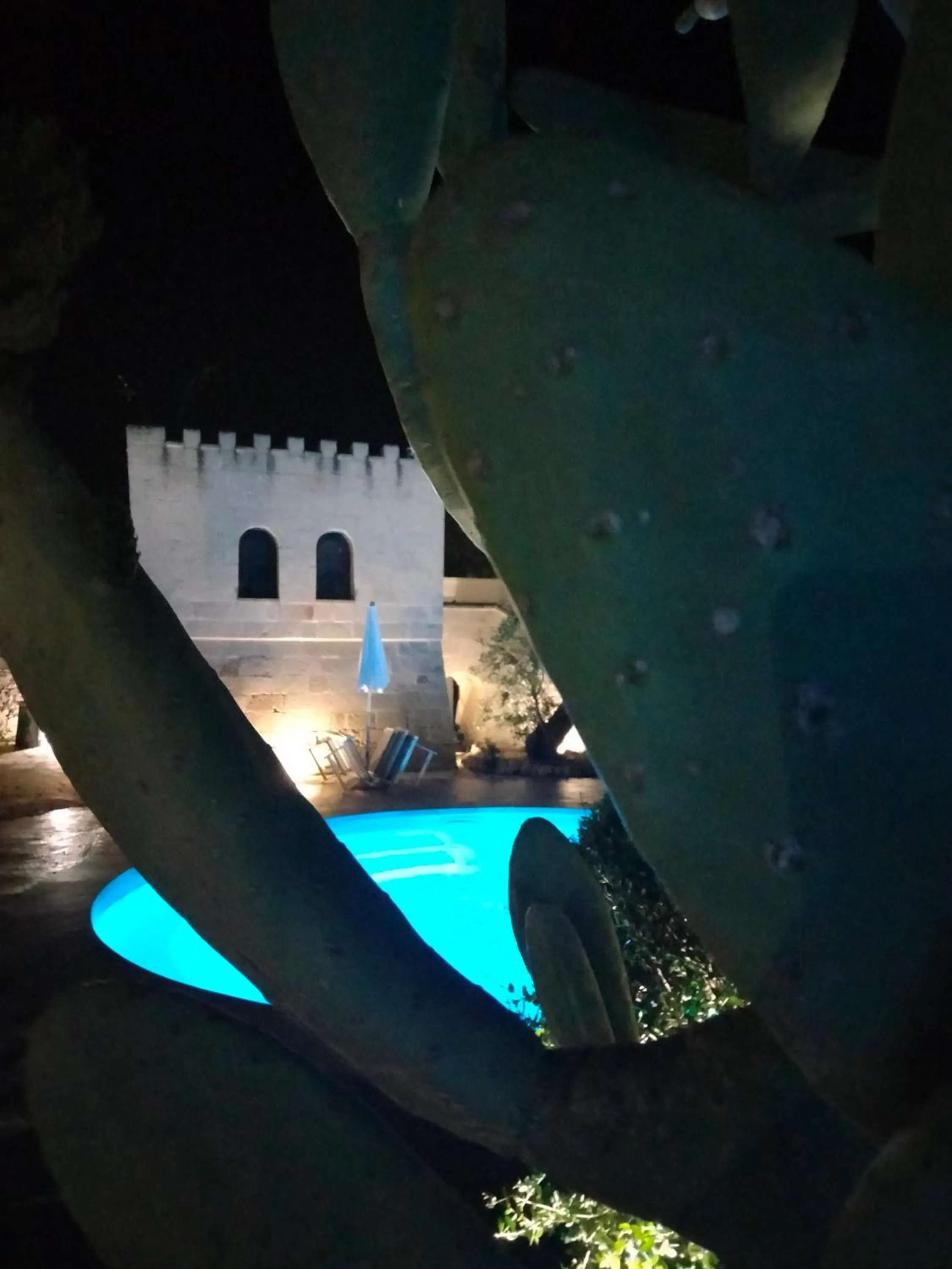 Night in Resort Villa Hermosa