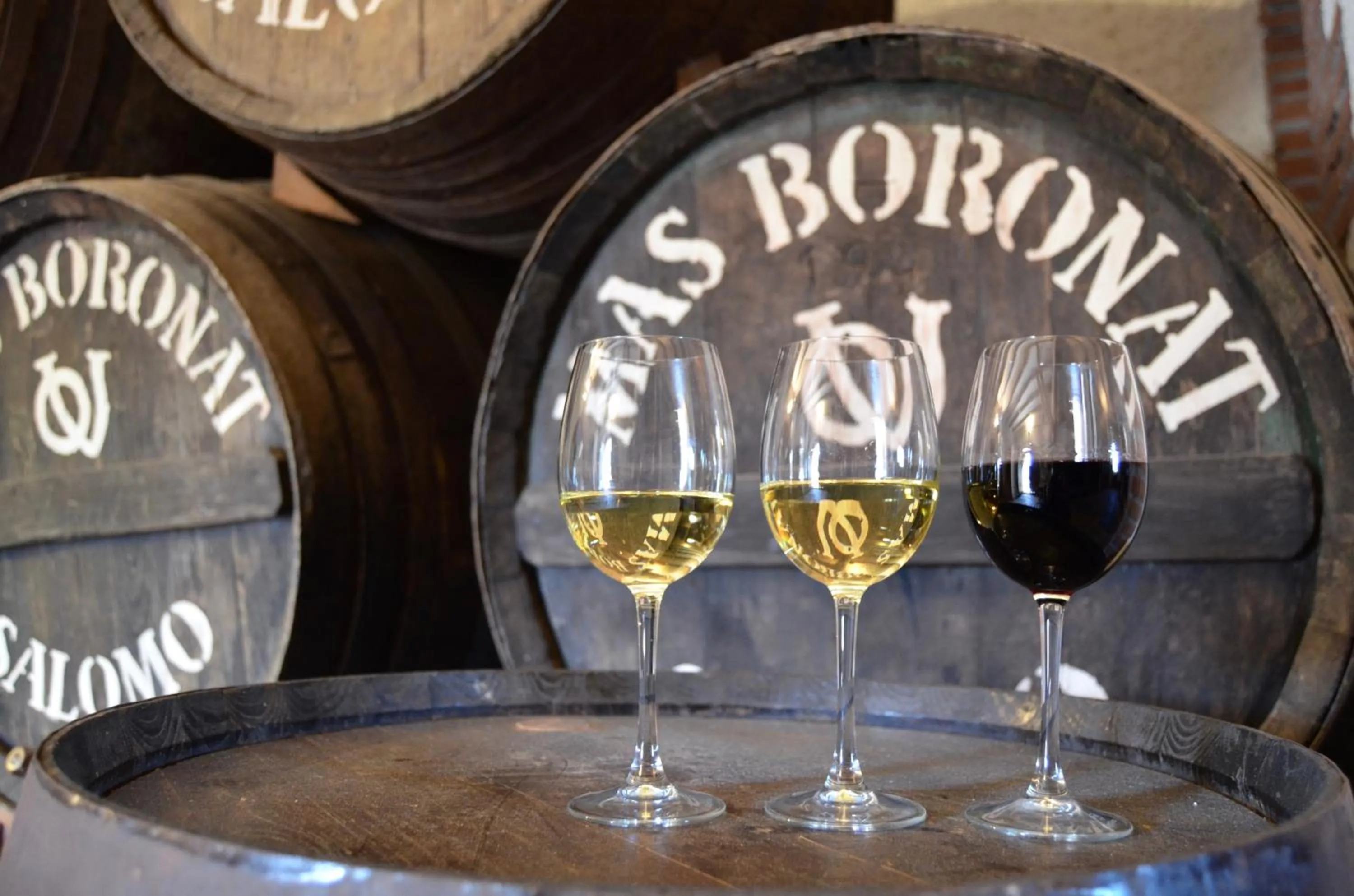 On site in Mas Boronat Resort