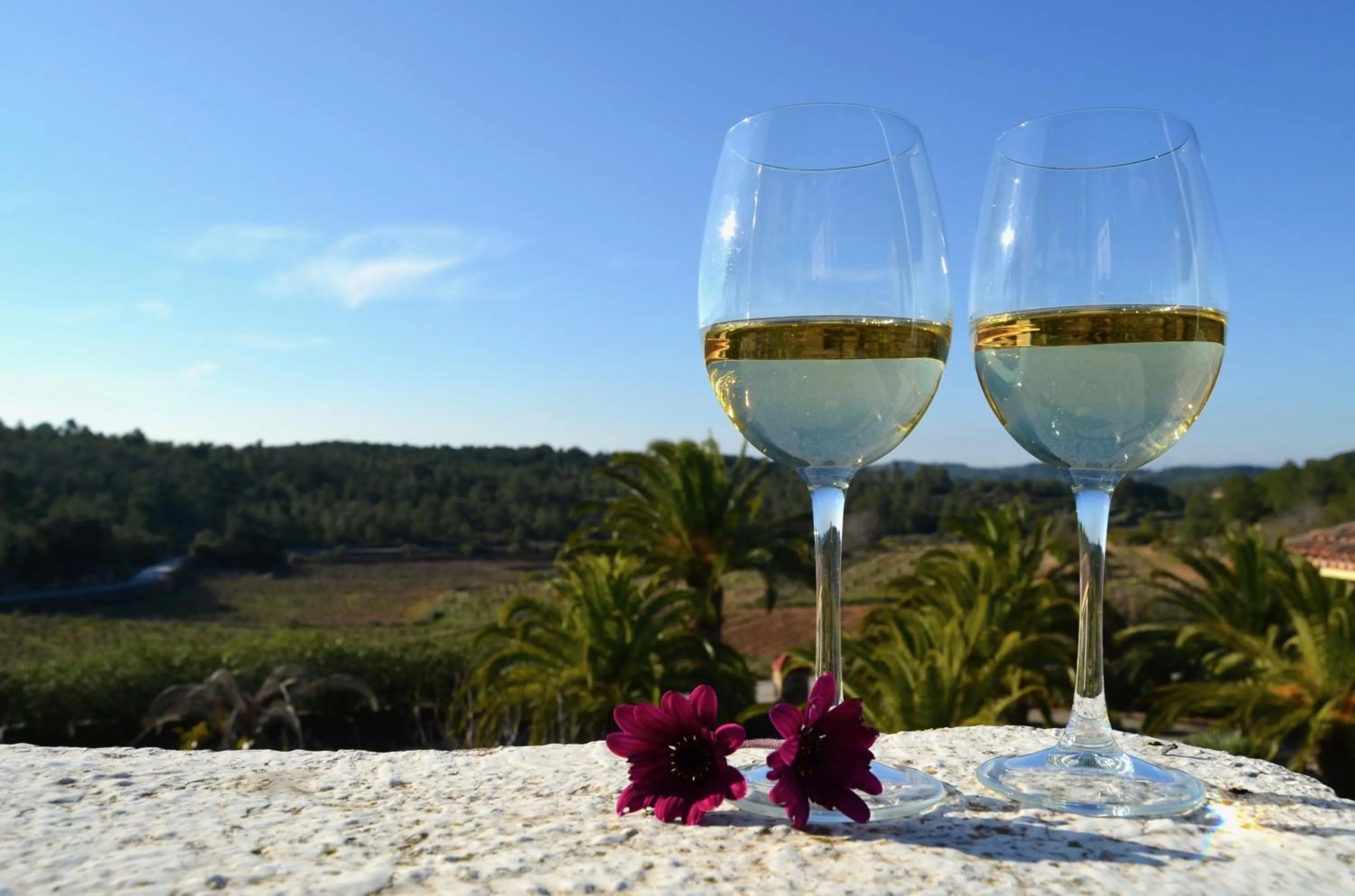 Suite in Mas Boronat Resort