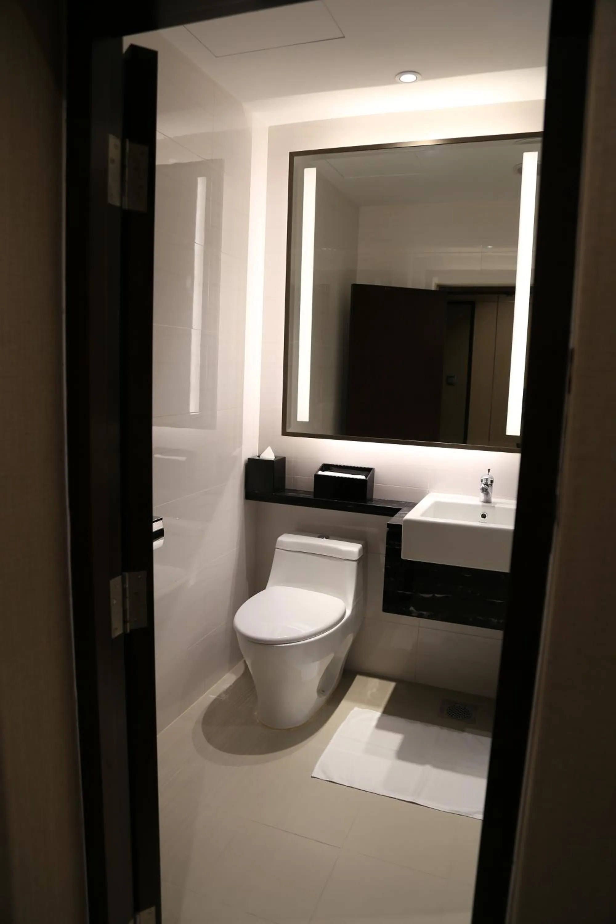 Toilet in Ambassador Transit Hotel - Terminal 2