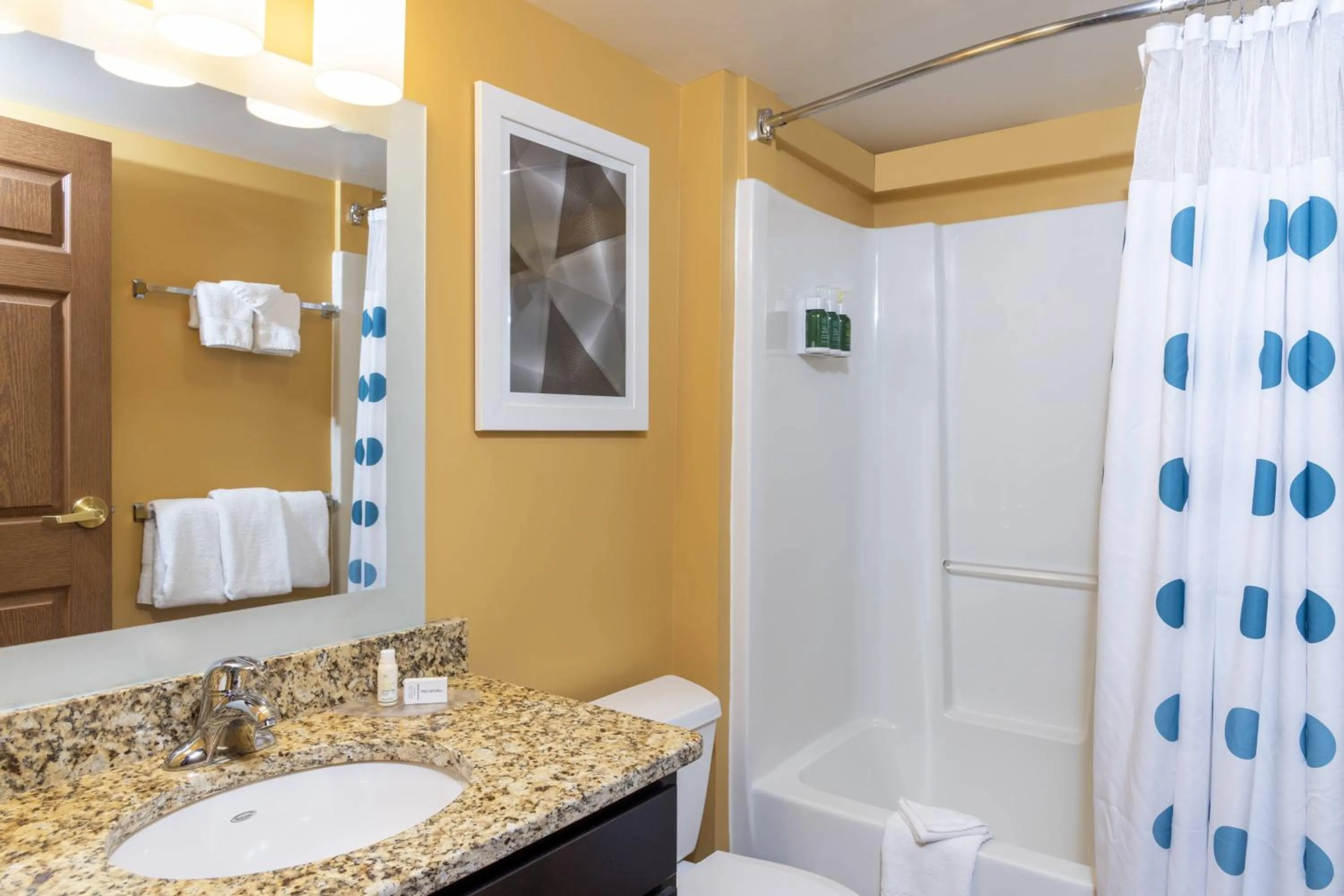 Bathroom in TownePlace Suites by Marriott East Lansing
