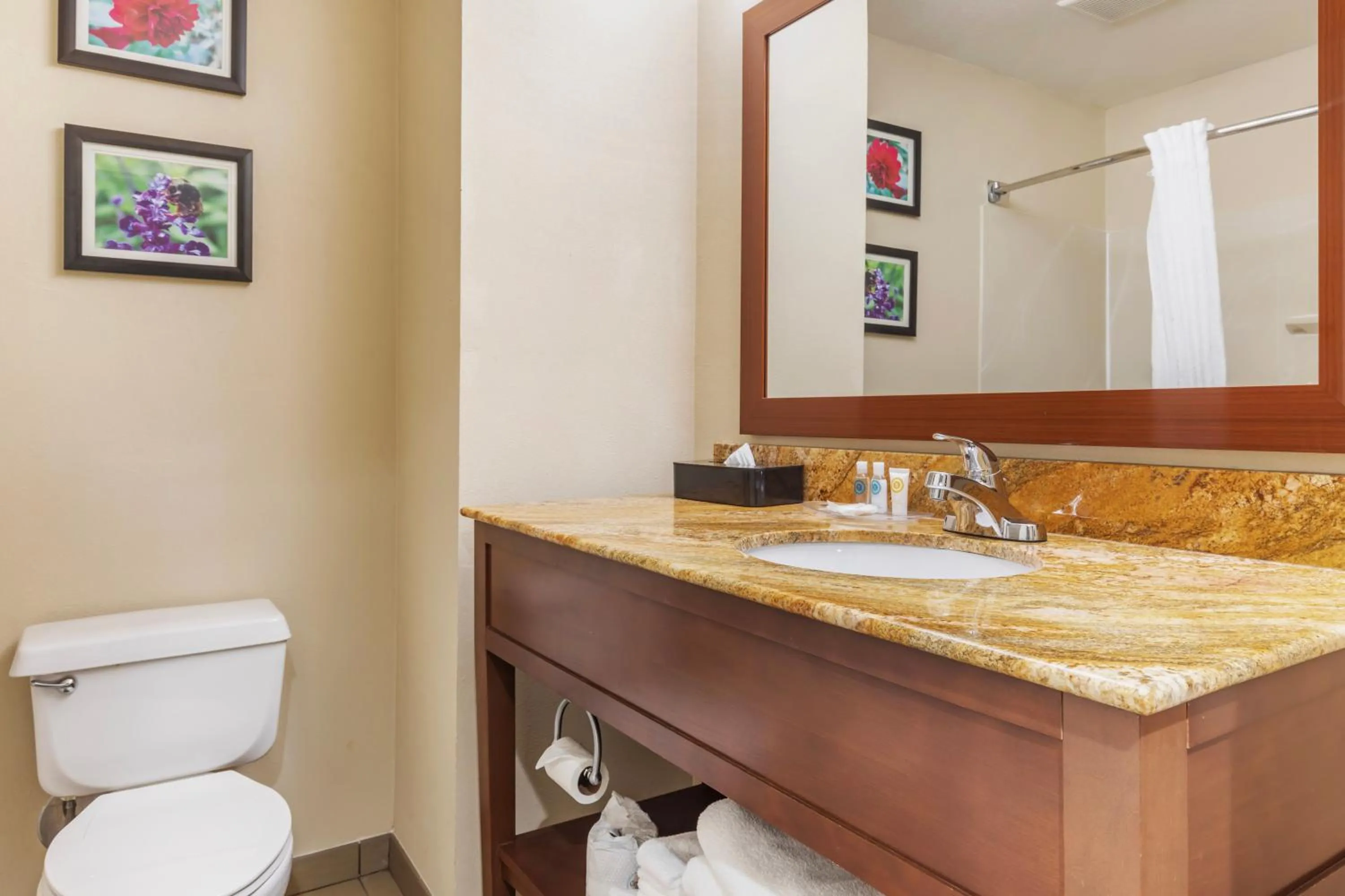 Toilet in Comfort Inn & Suites Temple - Medical Center