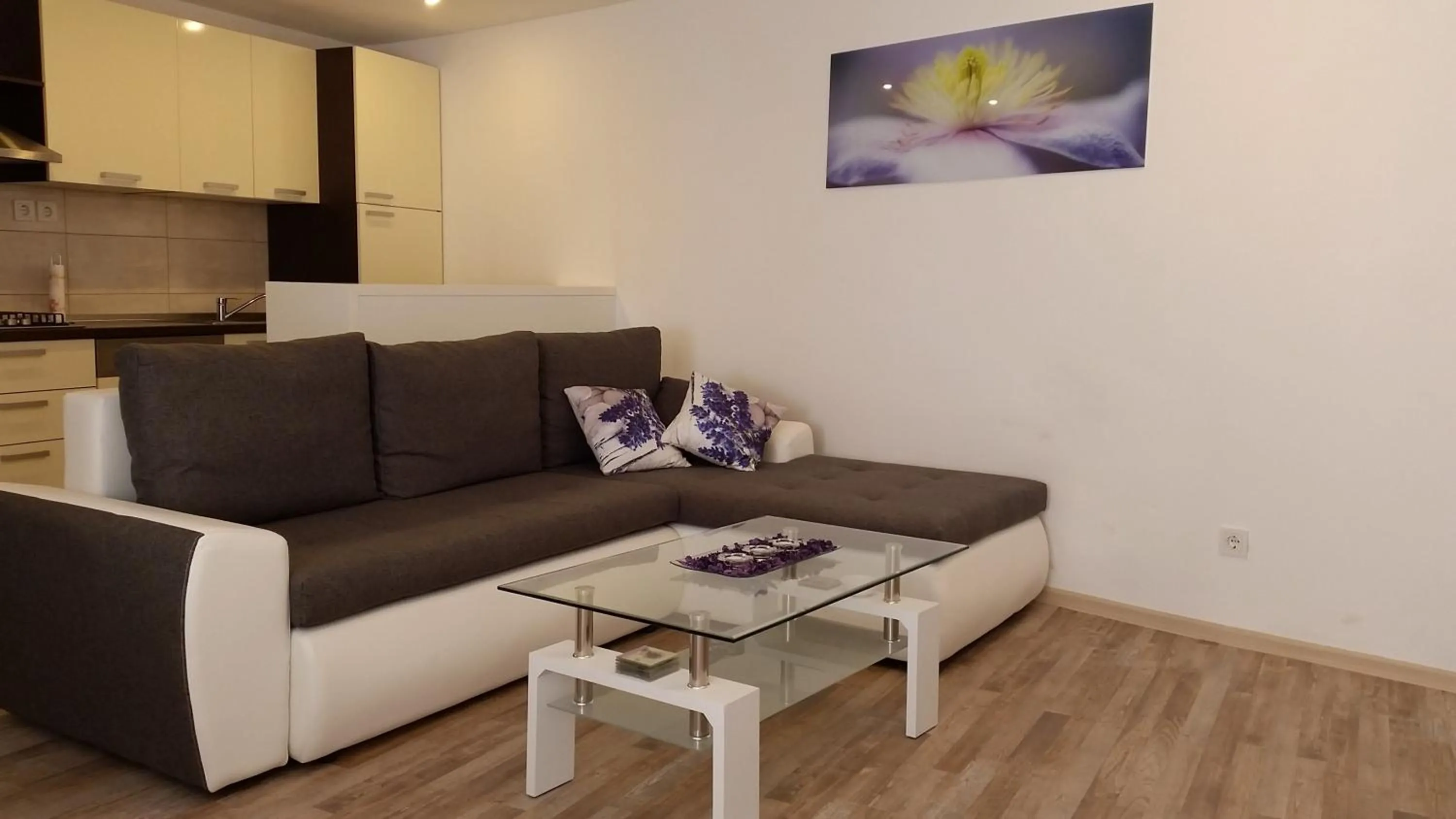 Apartment Soric