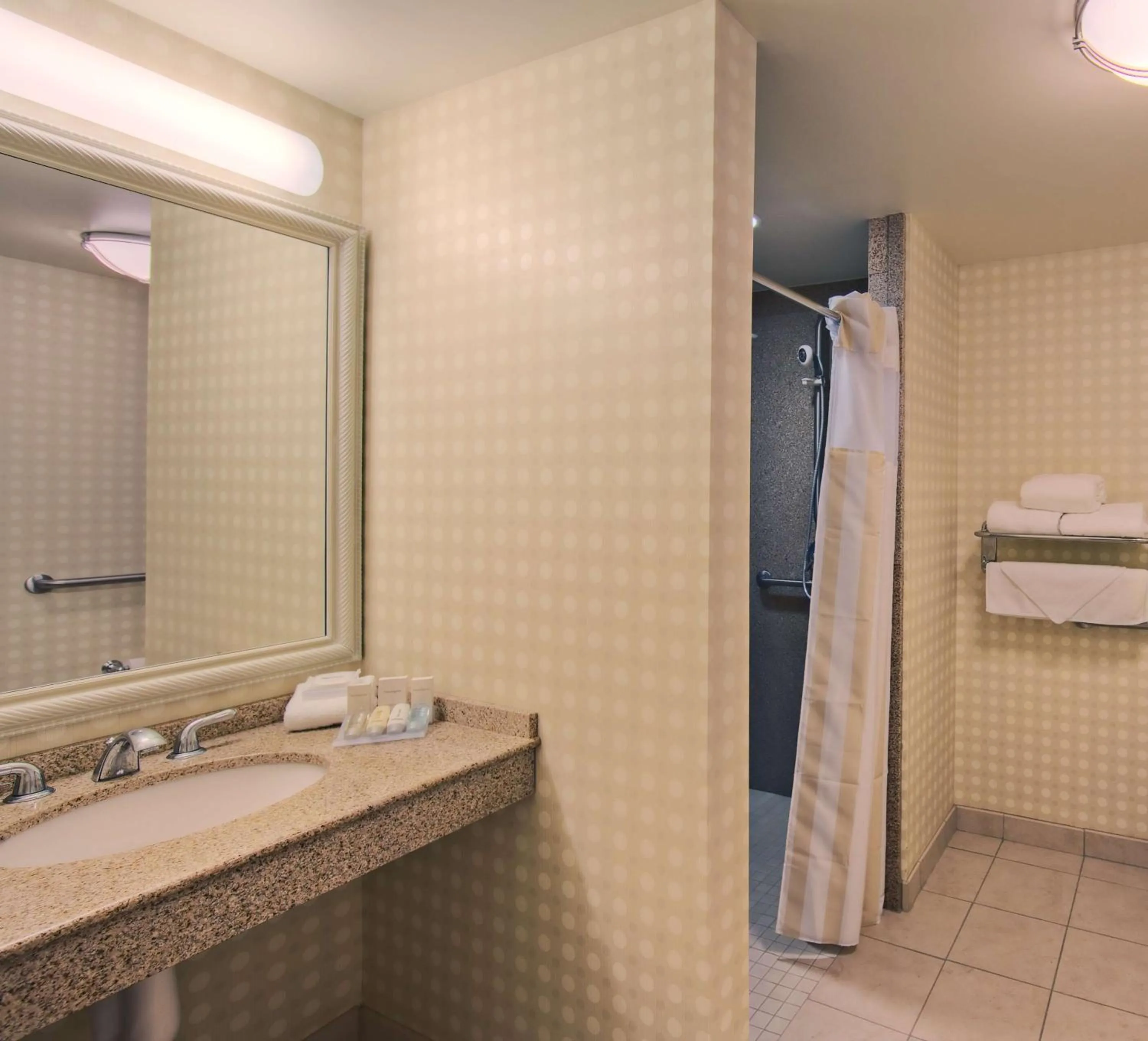 Bathroom in Hilton Garden Inn Laramie