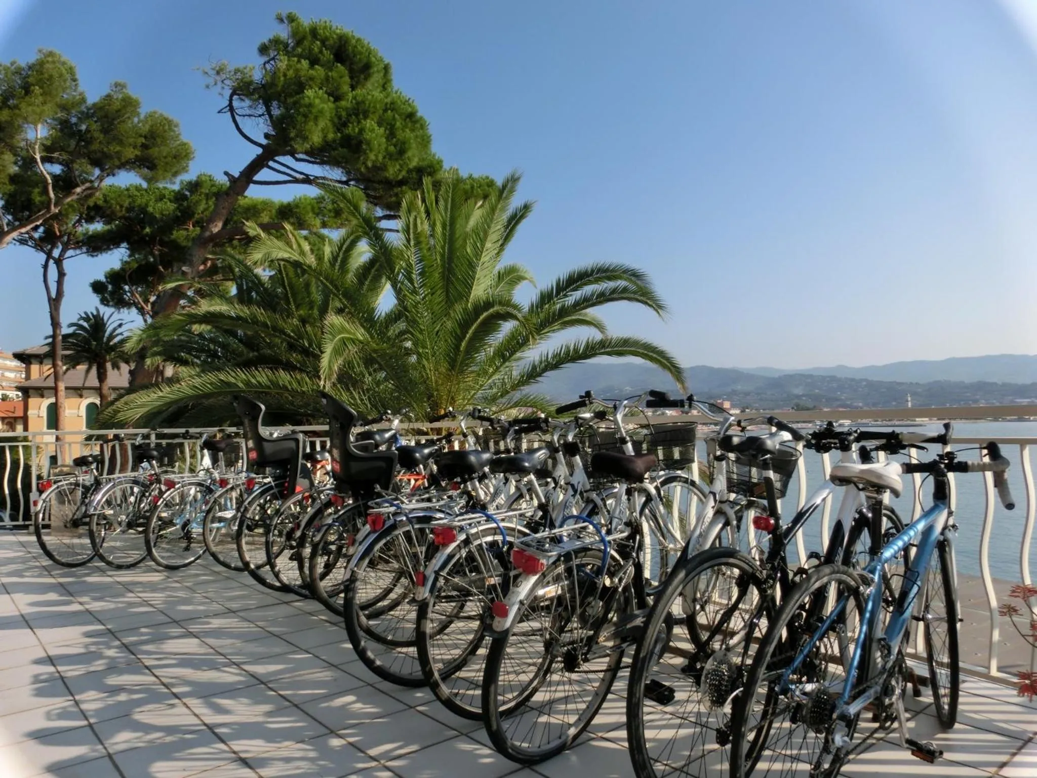 Other in Hotel Arc En Ciel