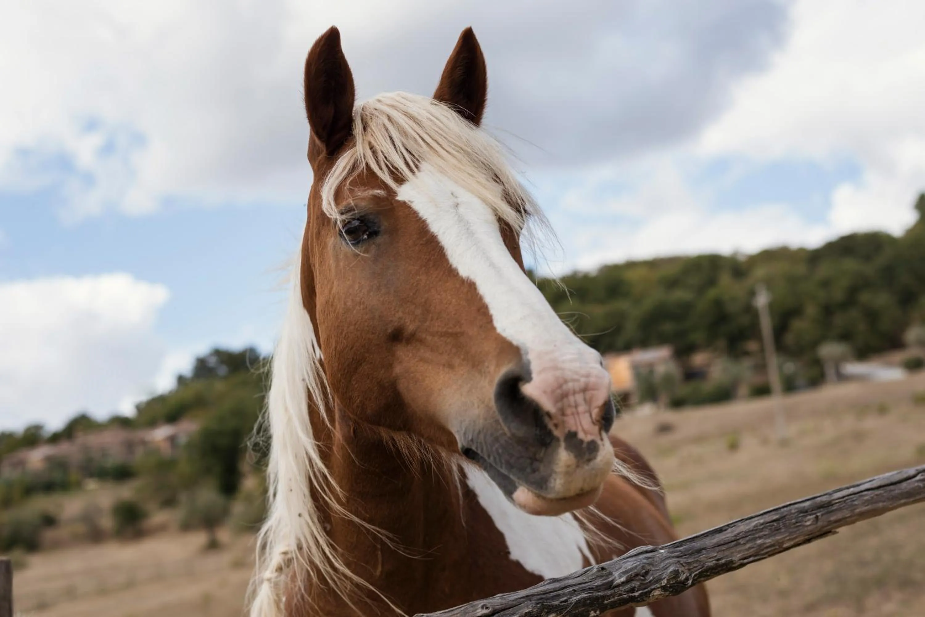 Activities in Antico Casale Di Scansano Resort