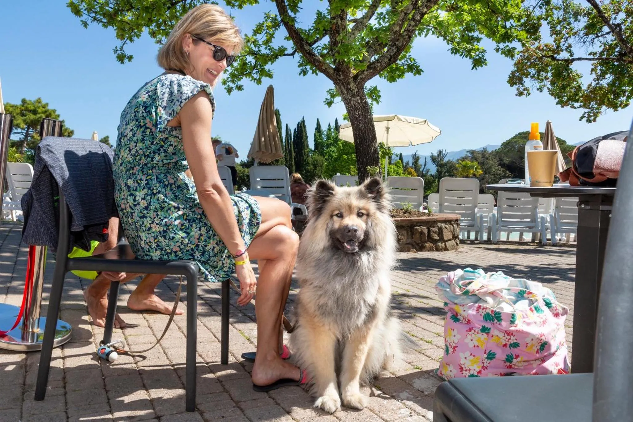 pet friendly in hu Norcenni Girasole village