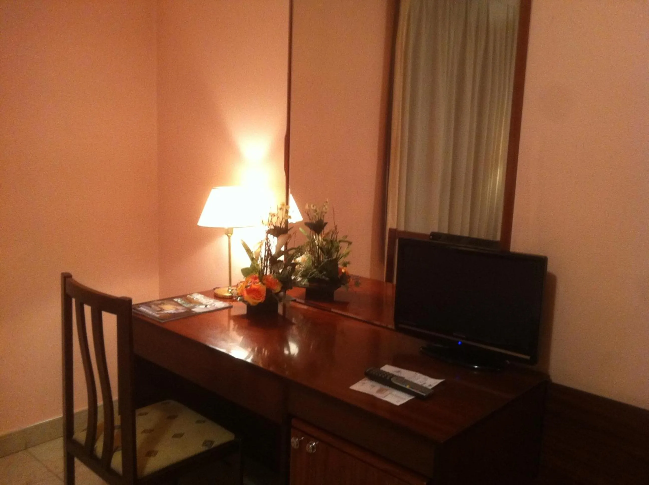 TV and multimedia in Hotel La Seu