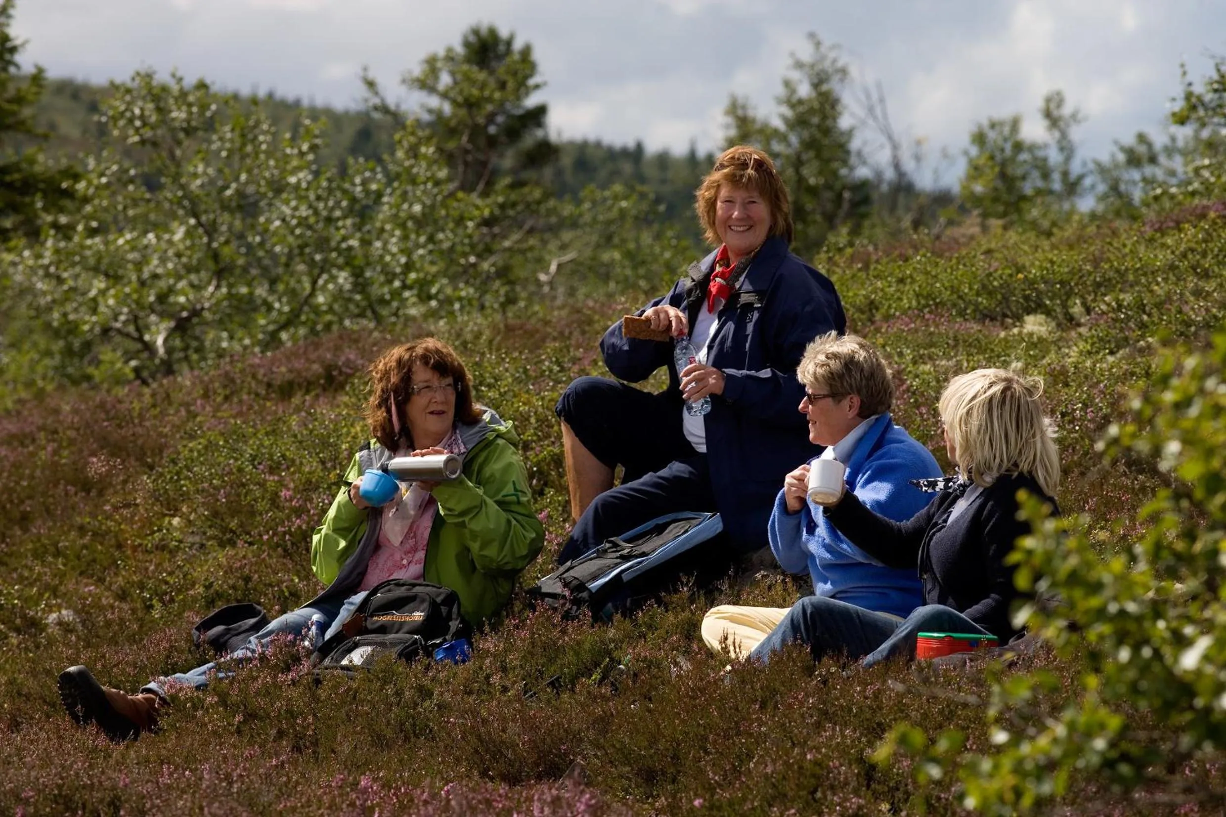 Day in Gammelgården