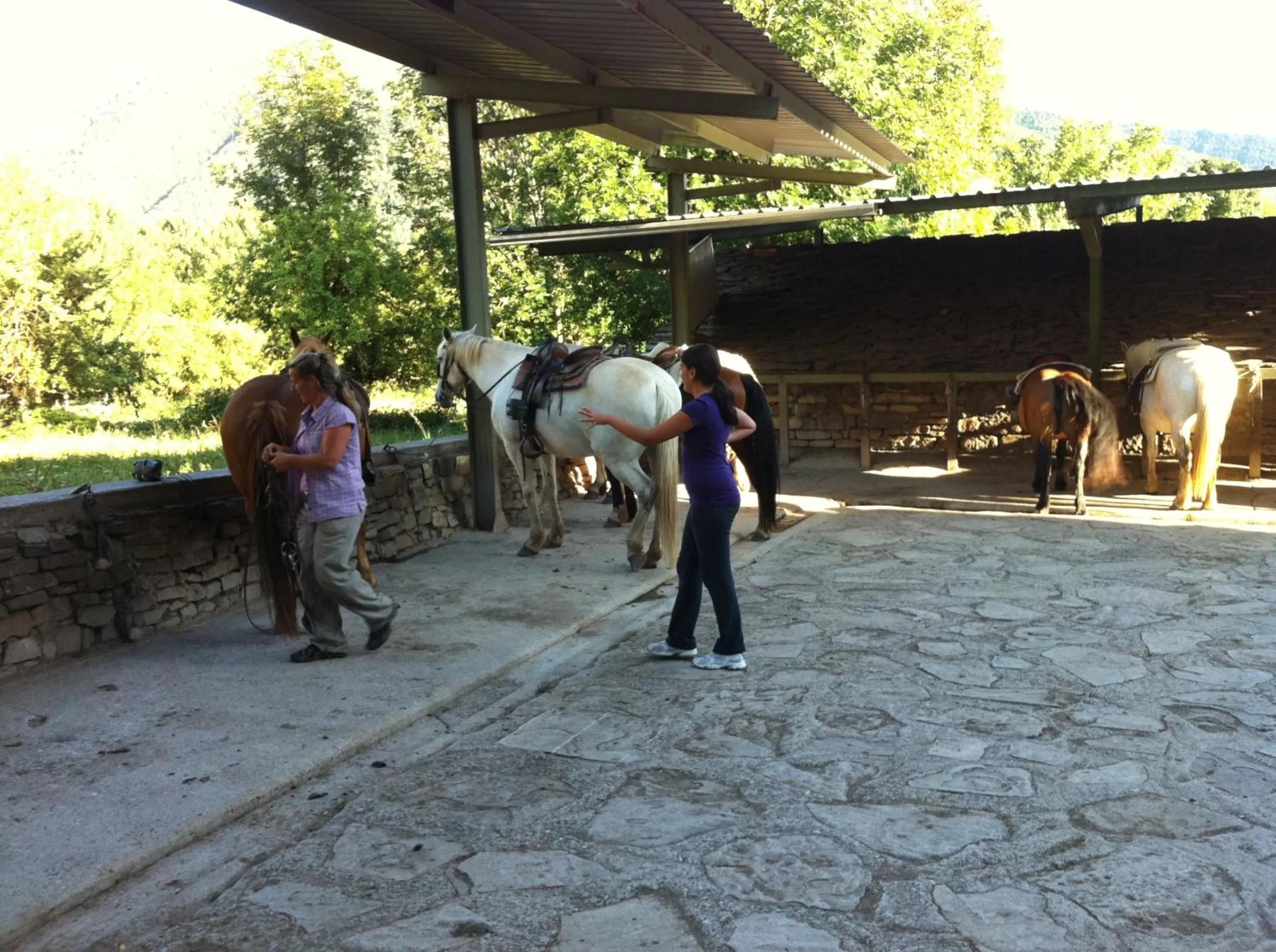Horse-riding in Hotel Los Nogales