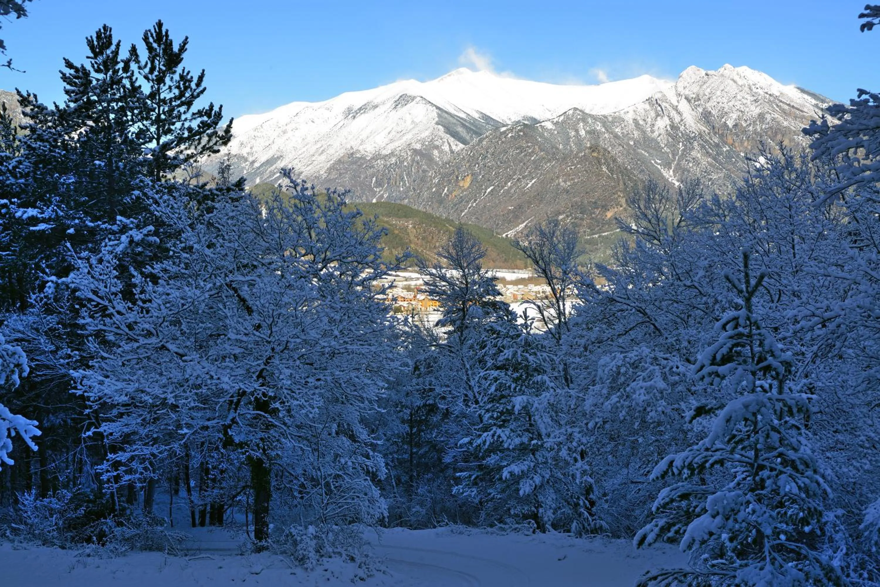 Winter in Hotel Los Nogales