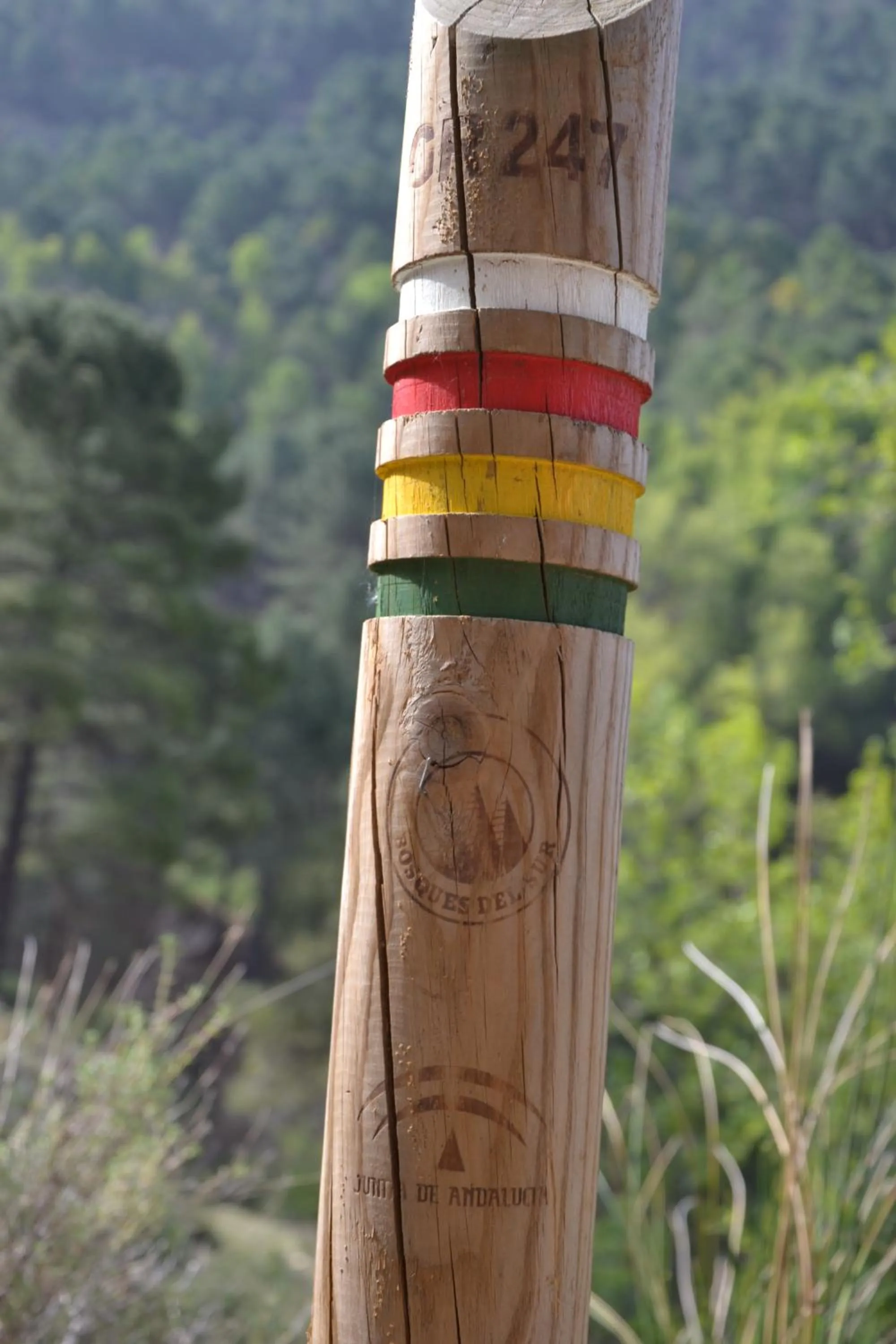 Nearby landmark in Hotel Balcón de Cazorla