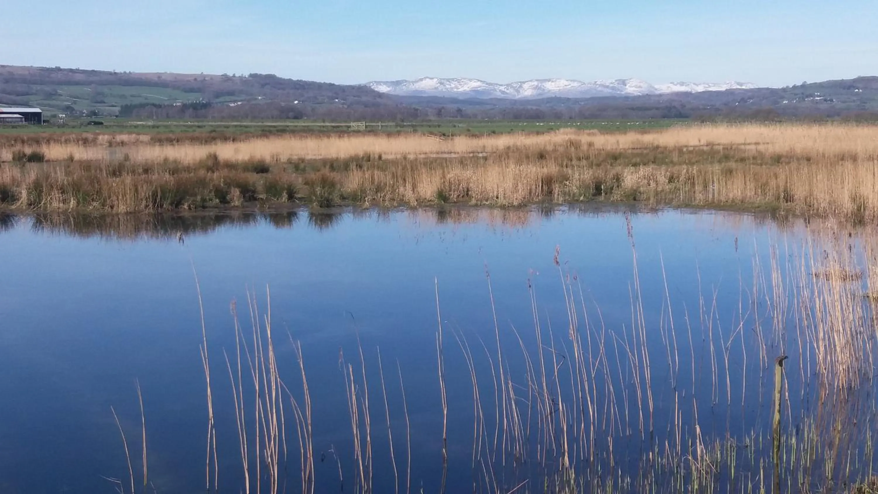 Spring in Plumtree House