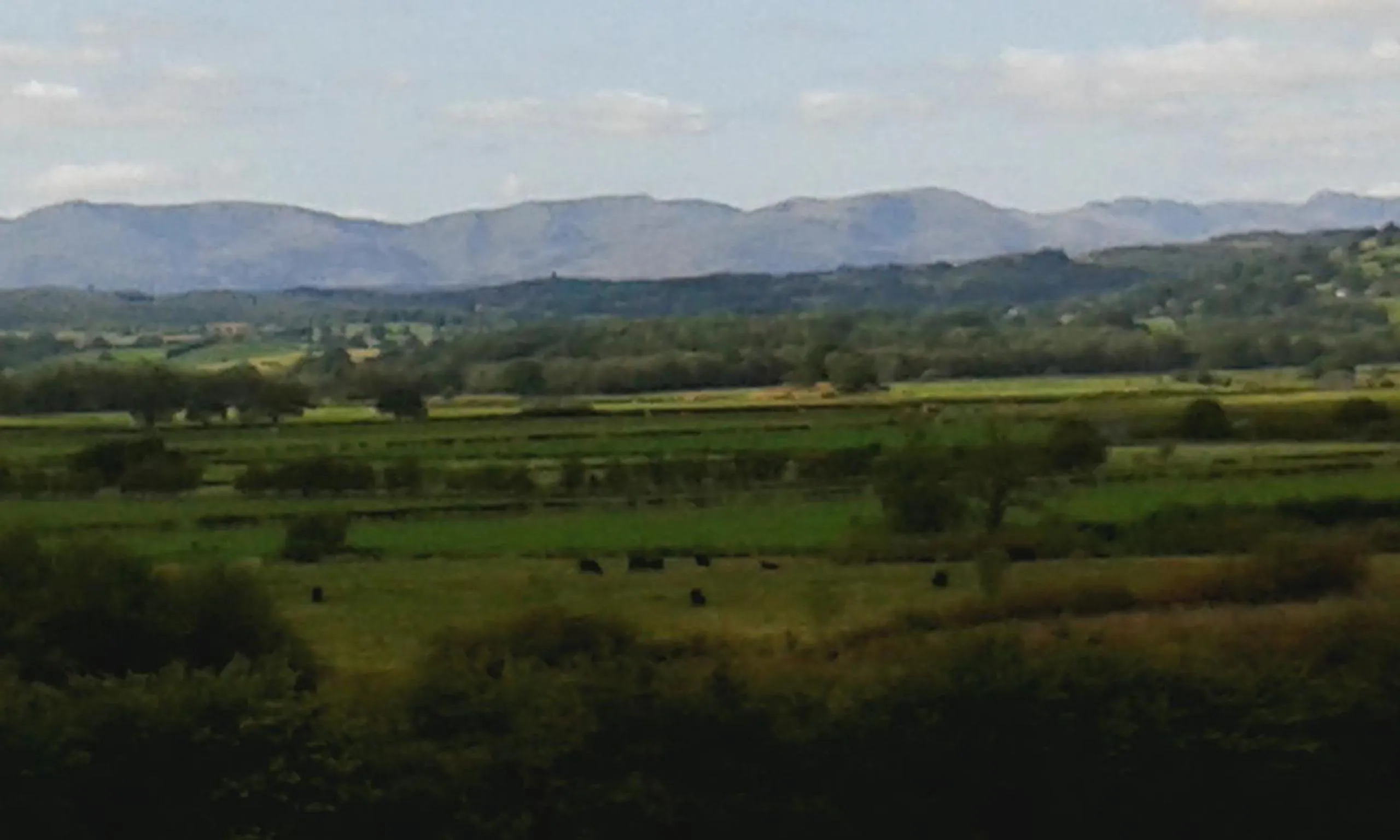 Spring in Plumtree House