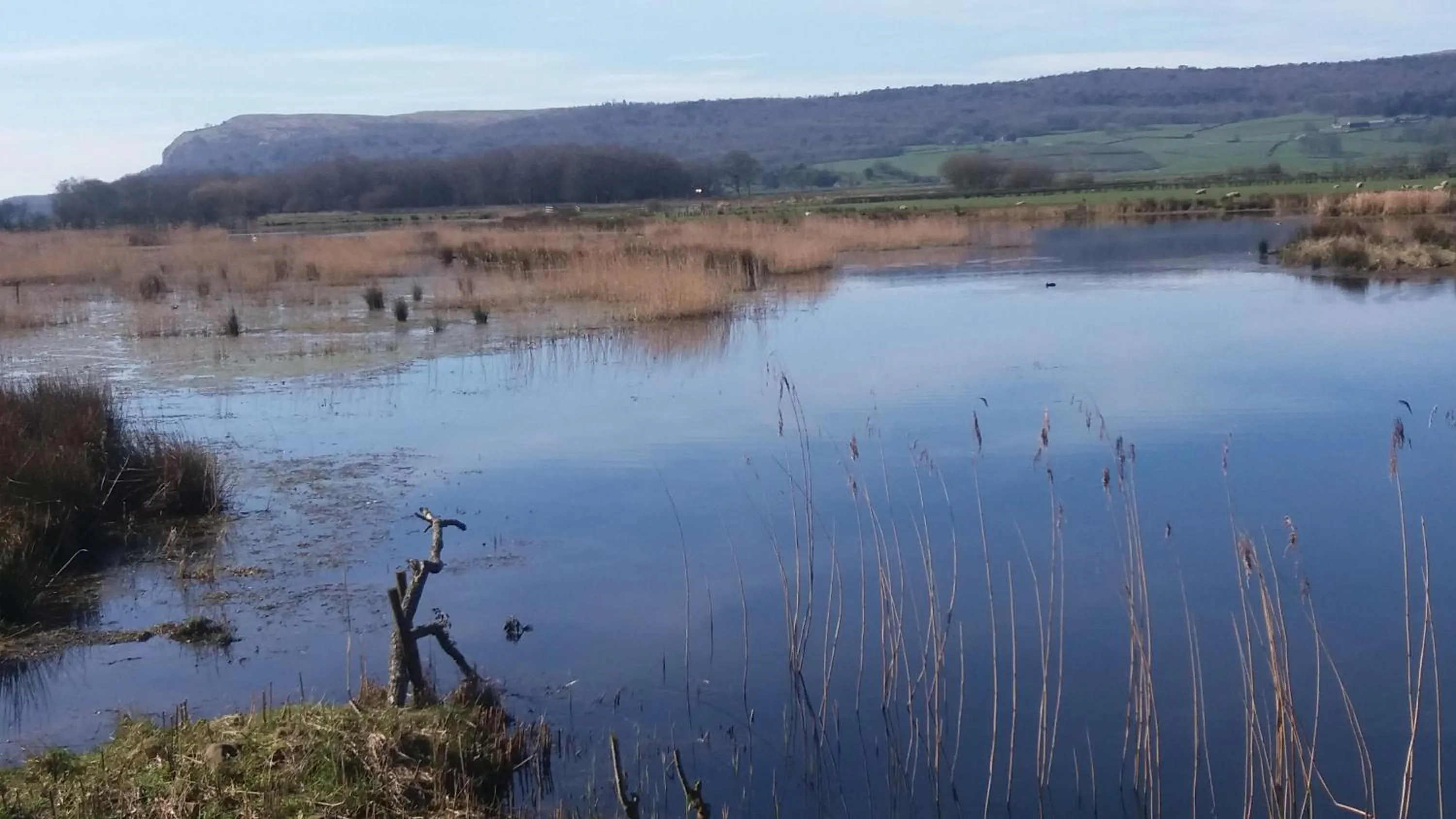 Spring in Plumtree House