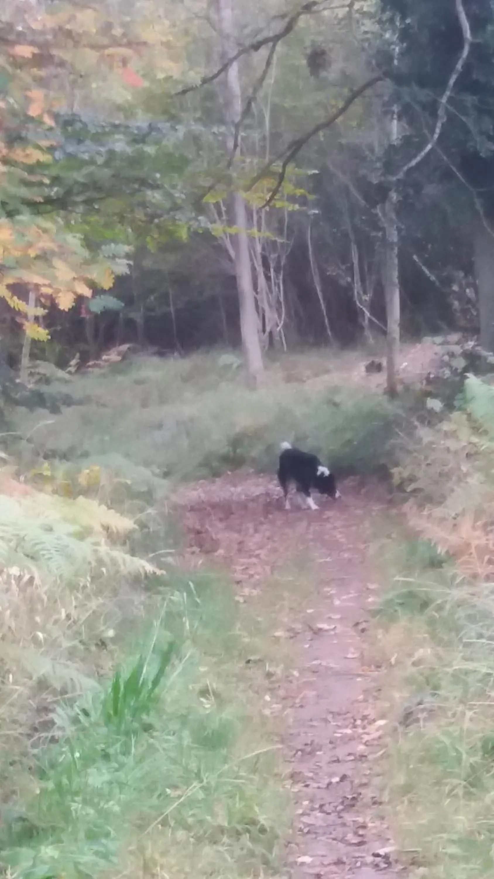 Hiking in Plumtree House