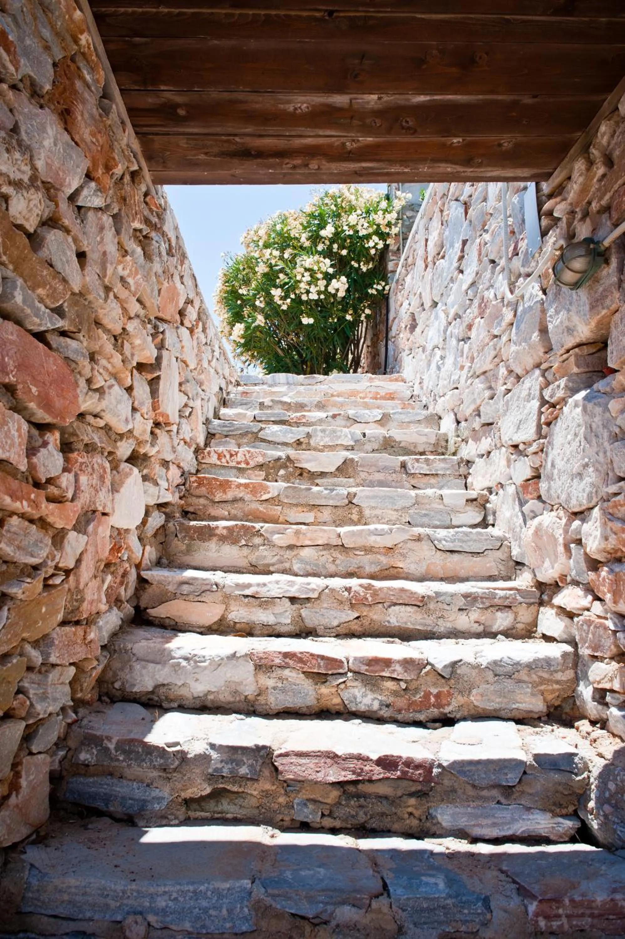 Property building in Sunrise Beach Suites