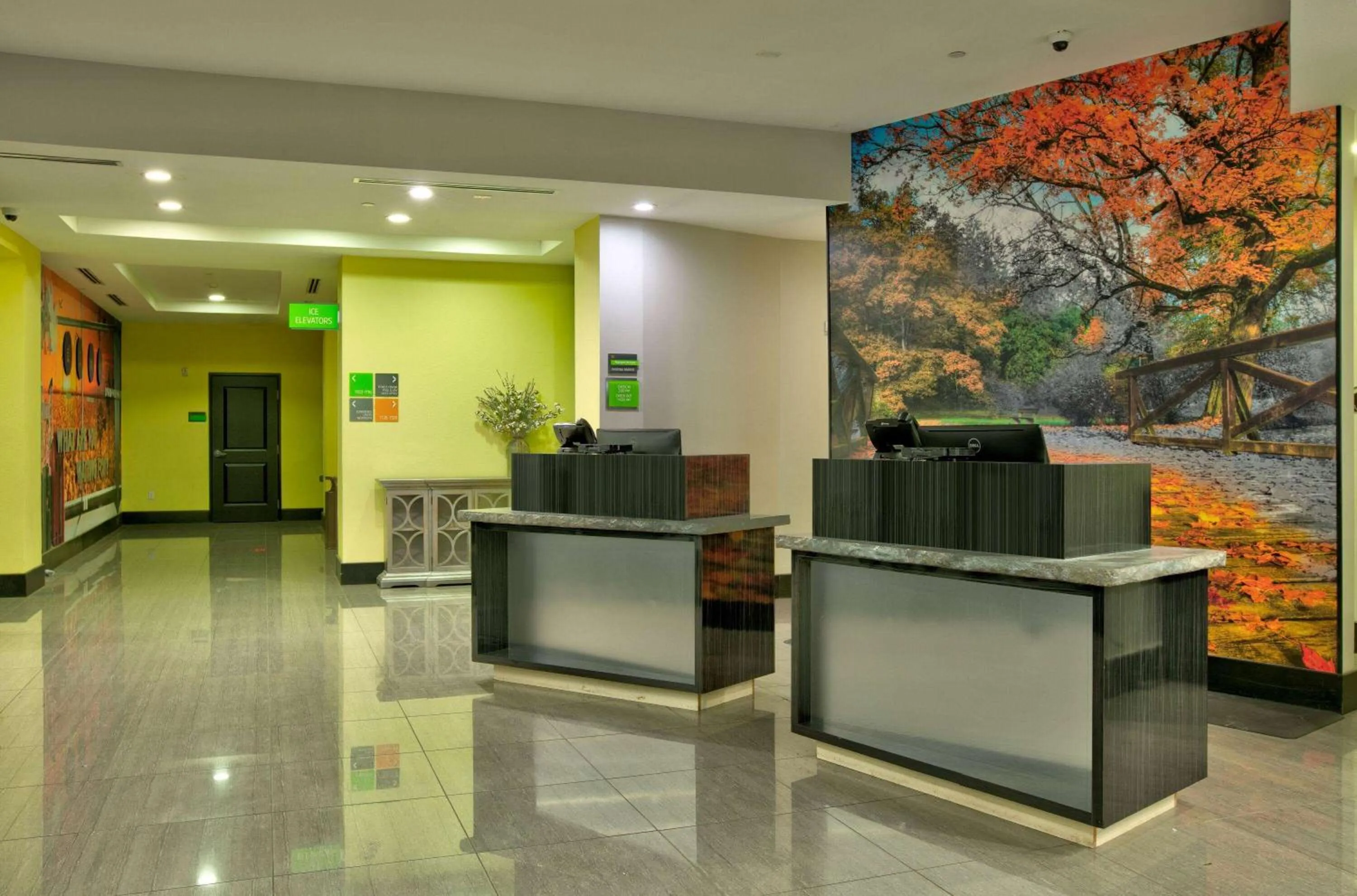 Lobby or reception in La Quinta Inn & Suites by Wyndham Lubbock Southwest