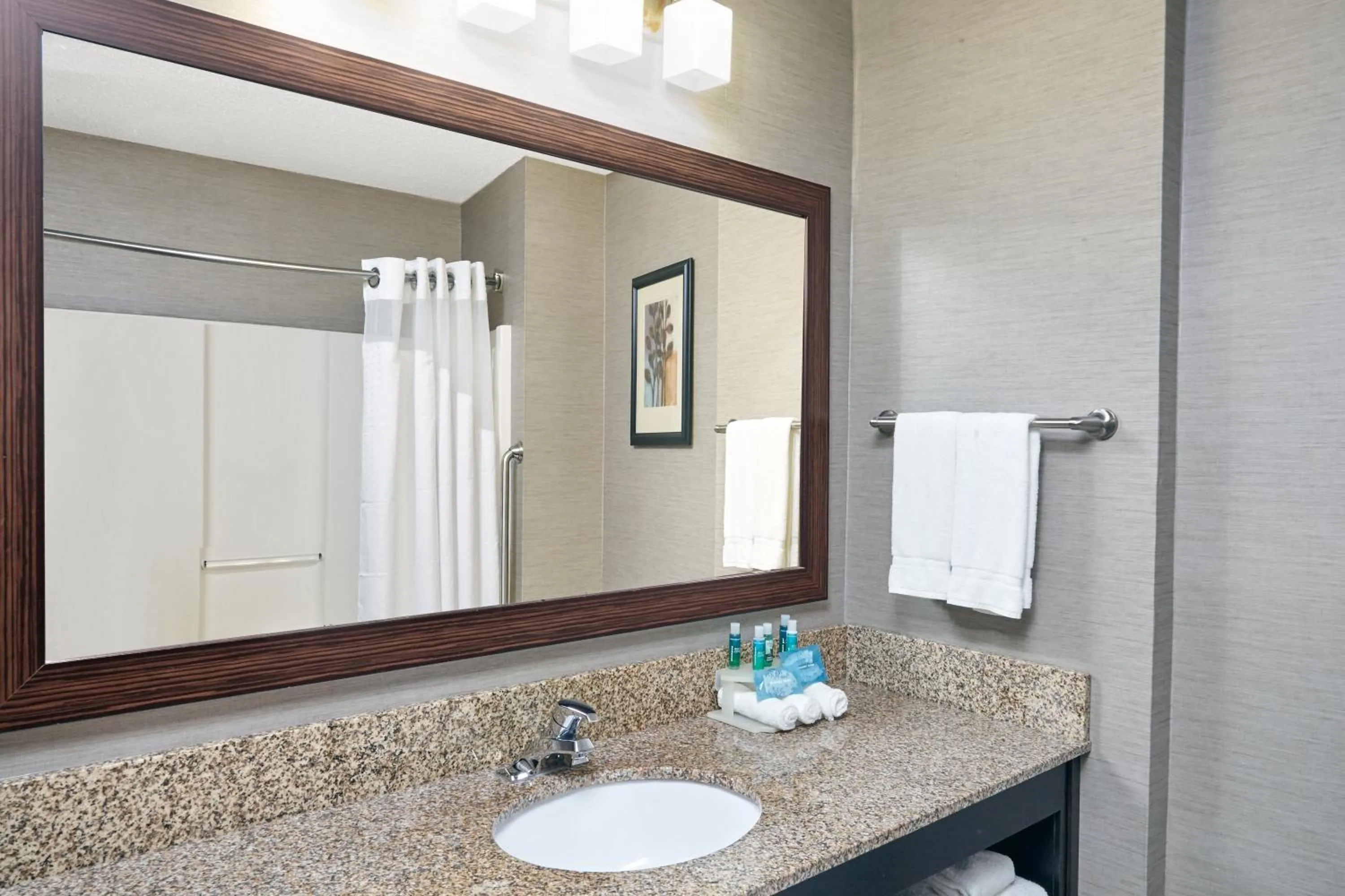 Bathroom in Holiday Inn Express Hotel & Suites Buford-Mall Of Georgia