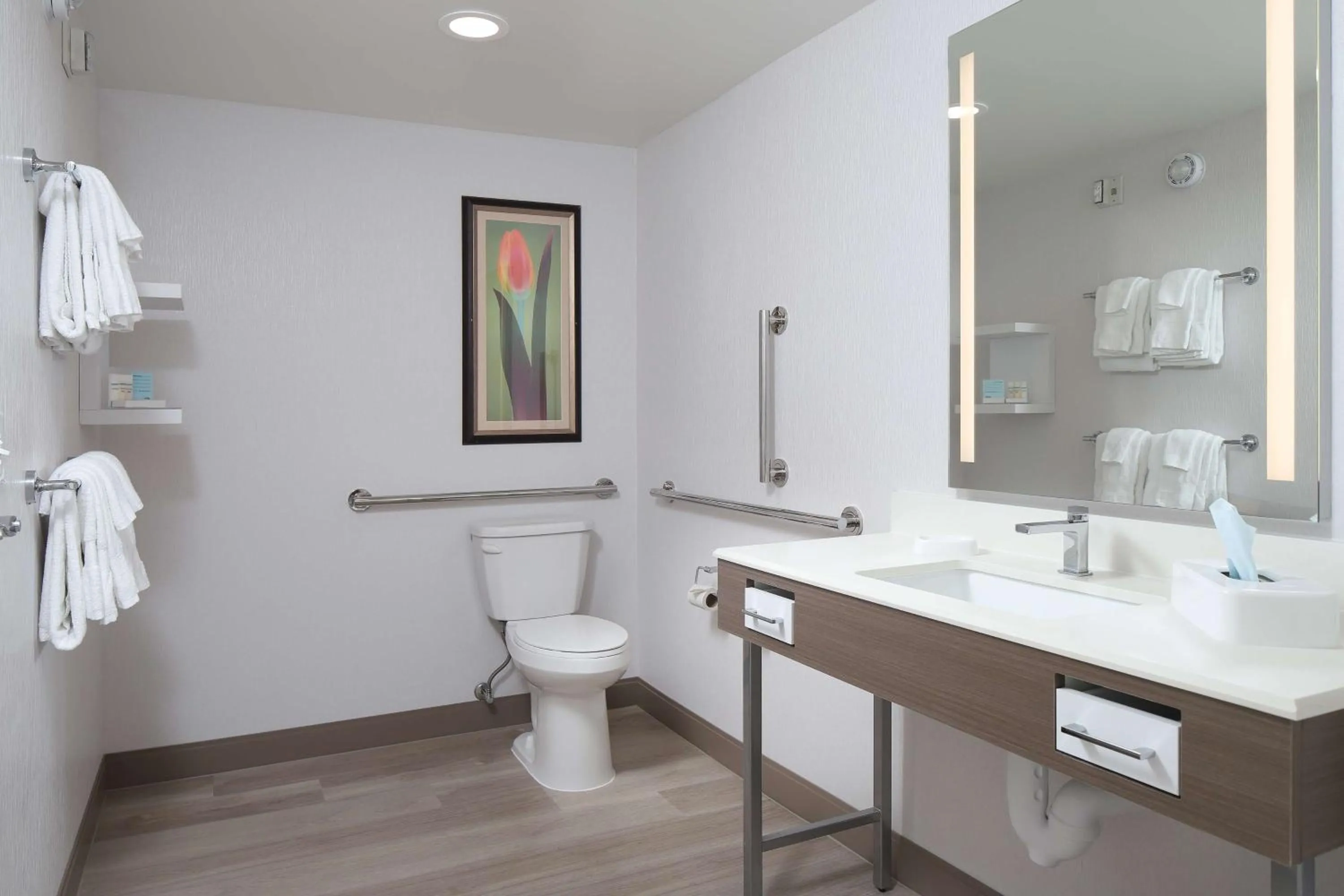 Bathroom in Hampton Inn Holland