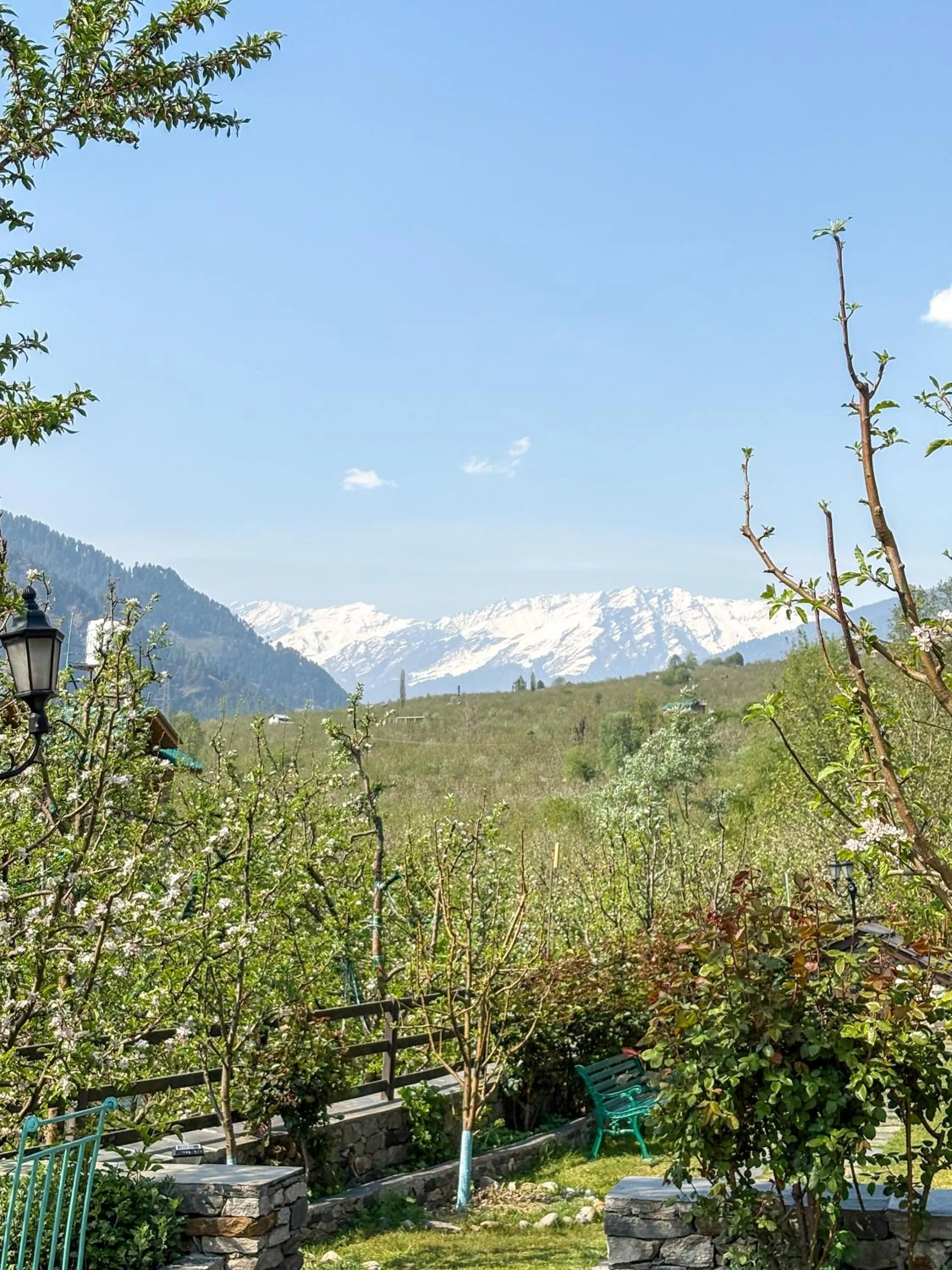 Spring in Shivadya - A Luxury Boutique Experience