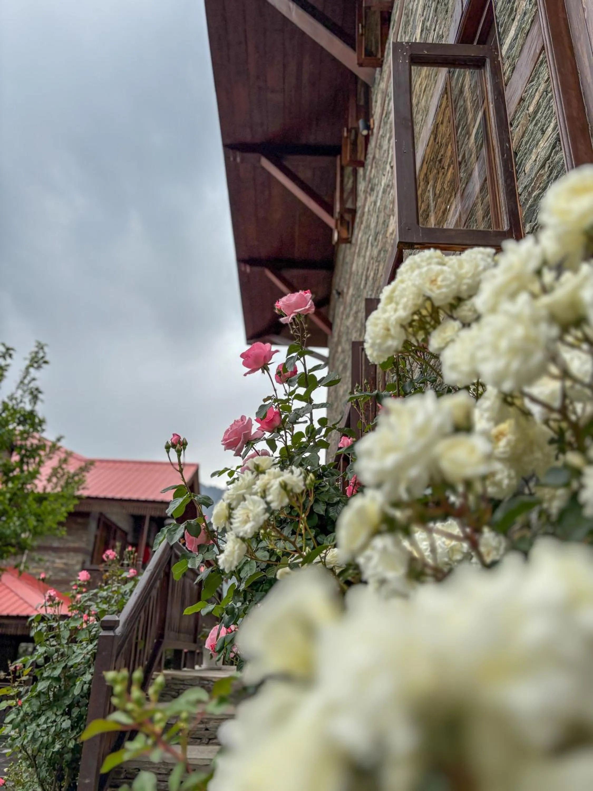 Property building in Shivadya - A Luxury Boutique Experience