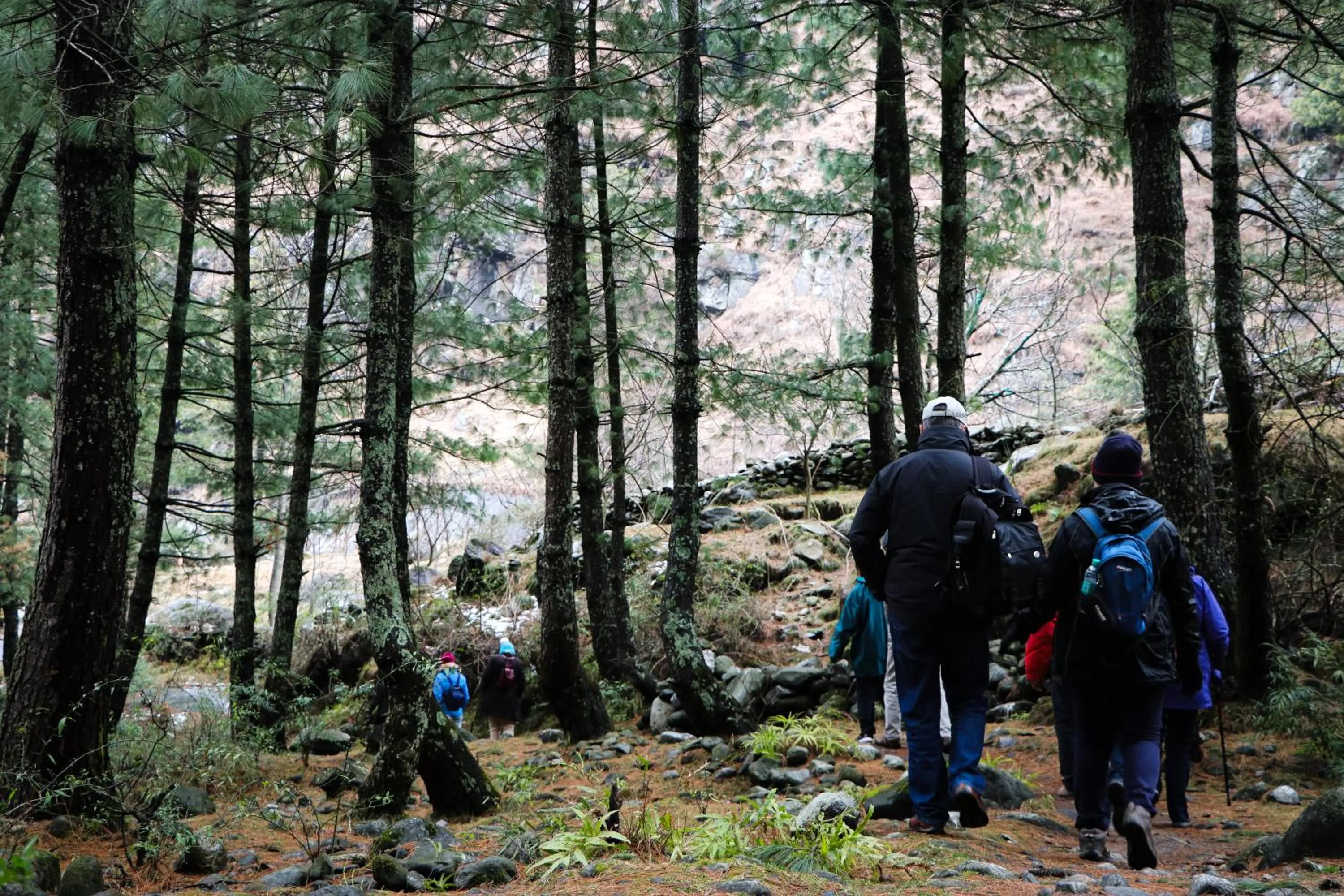 Shivadya - A Luxury Boutique Experience