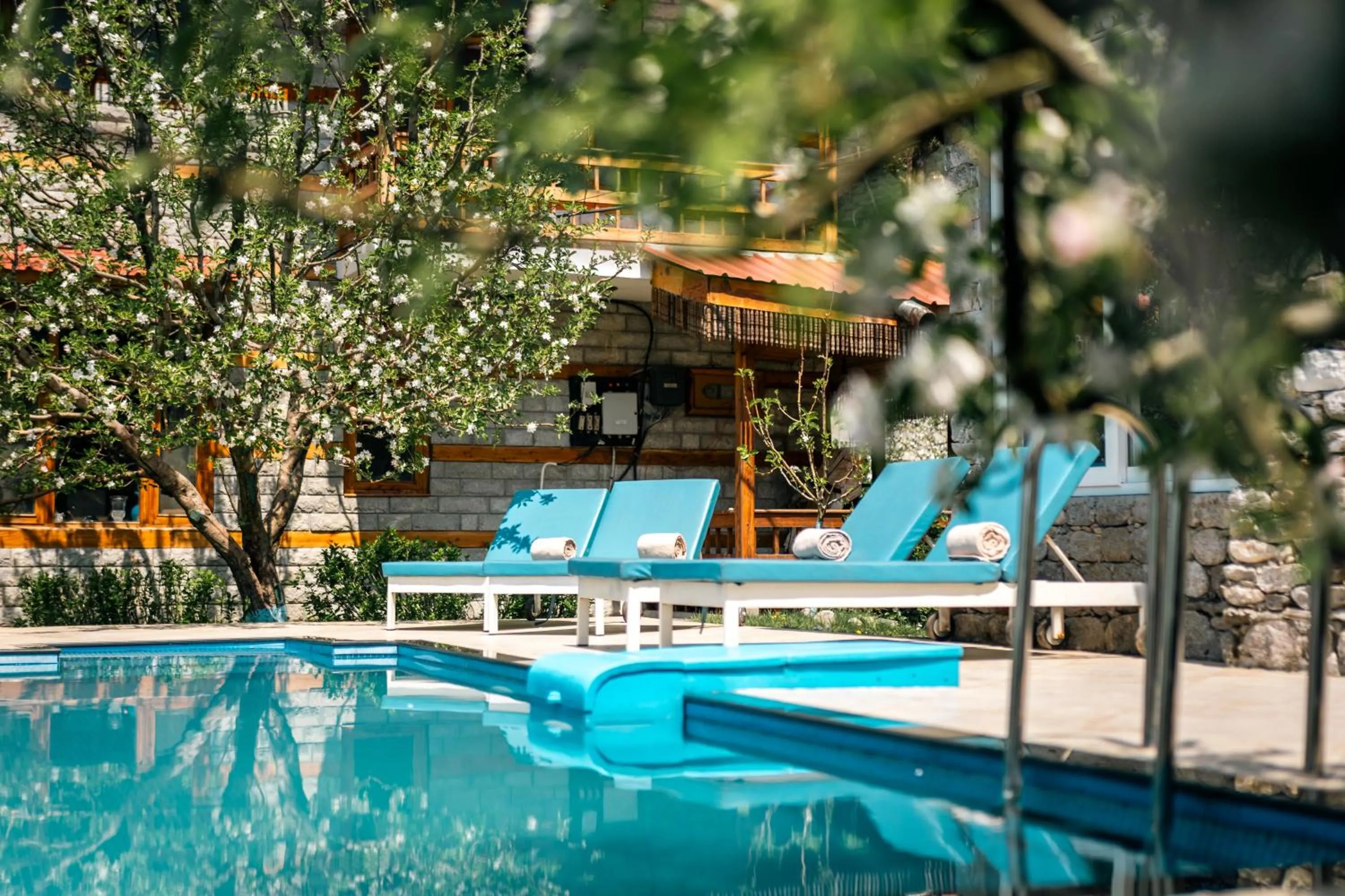 Pool view in Shivadya - A Luxury Boutique Experience