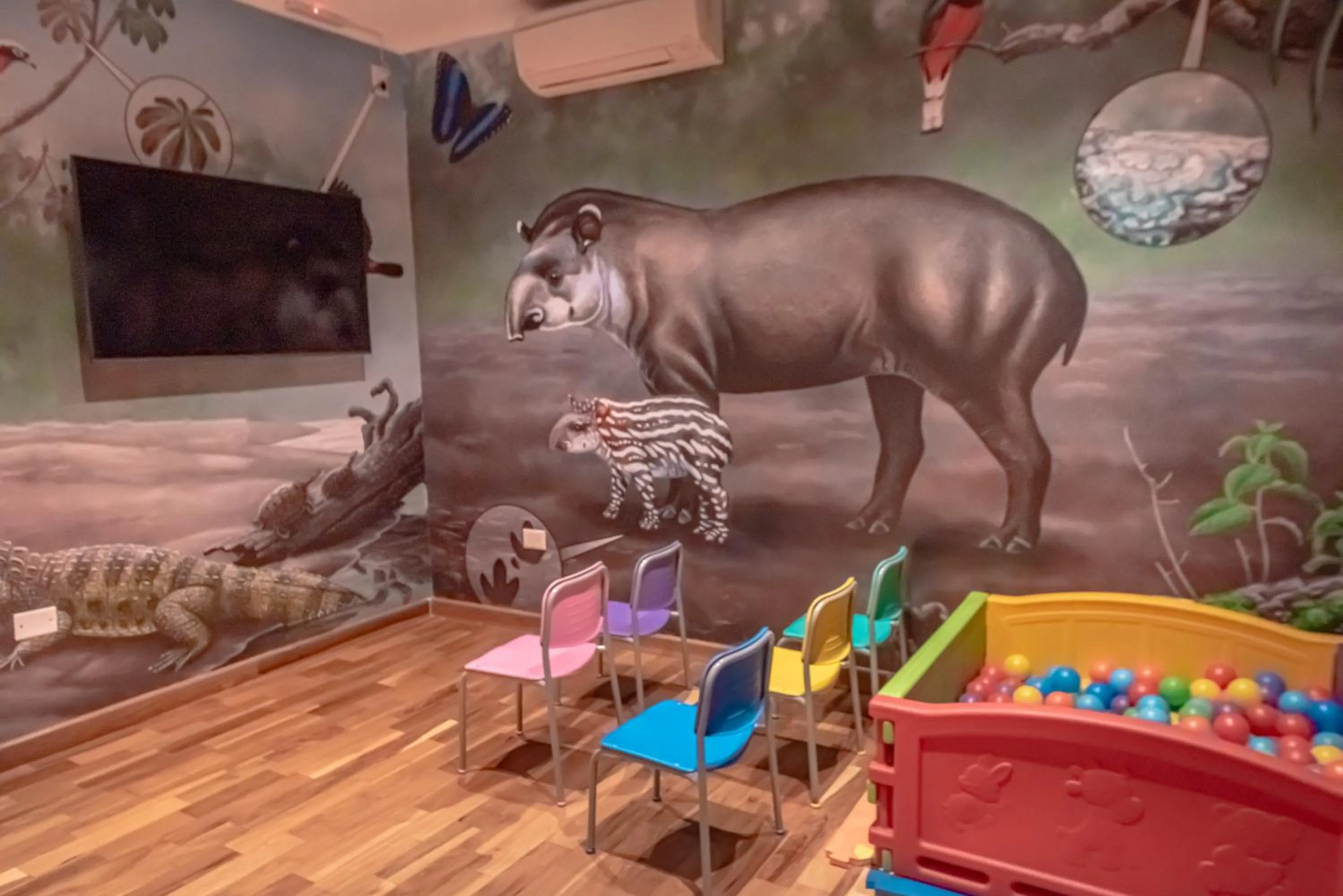 Game Room in Hotel Saint George