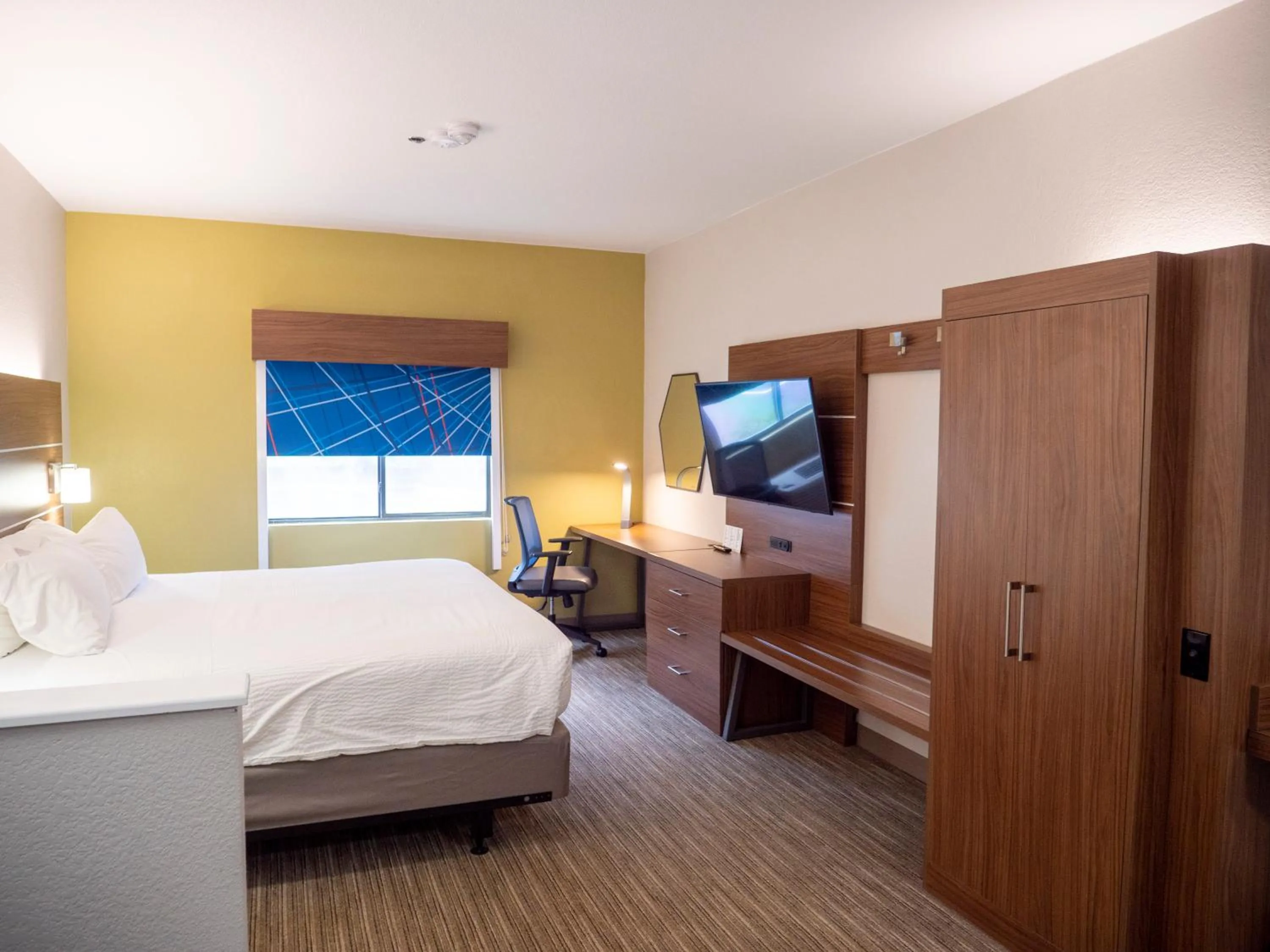 Photo of the whole room, Bed in Holiday Inn Express & Suites Greenville Airport i85 by IHG
