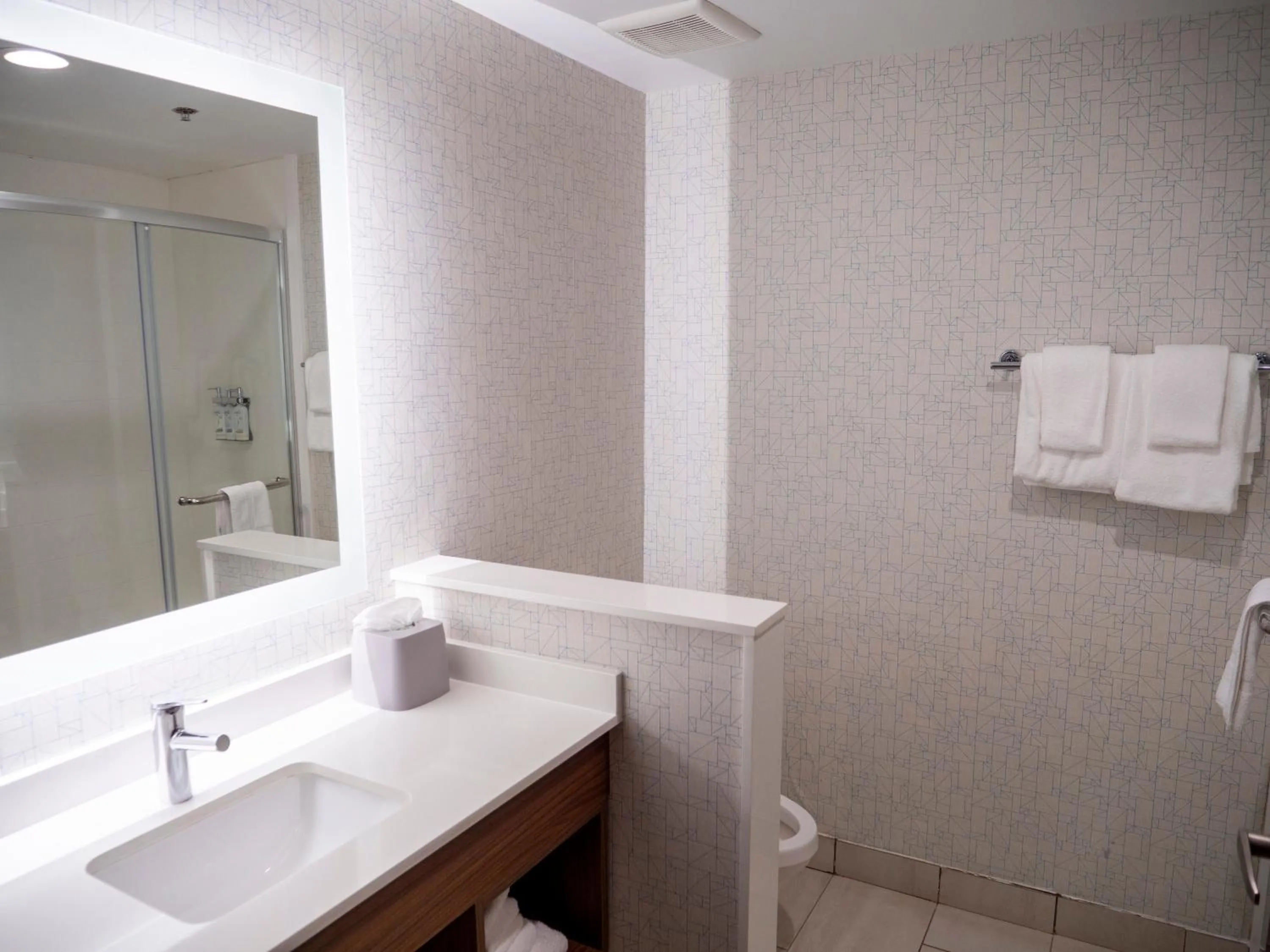 Bathroom in Holiday Inn Express & Suites Greenville Airport i85 by IHG