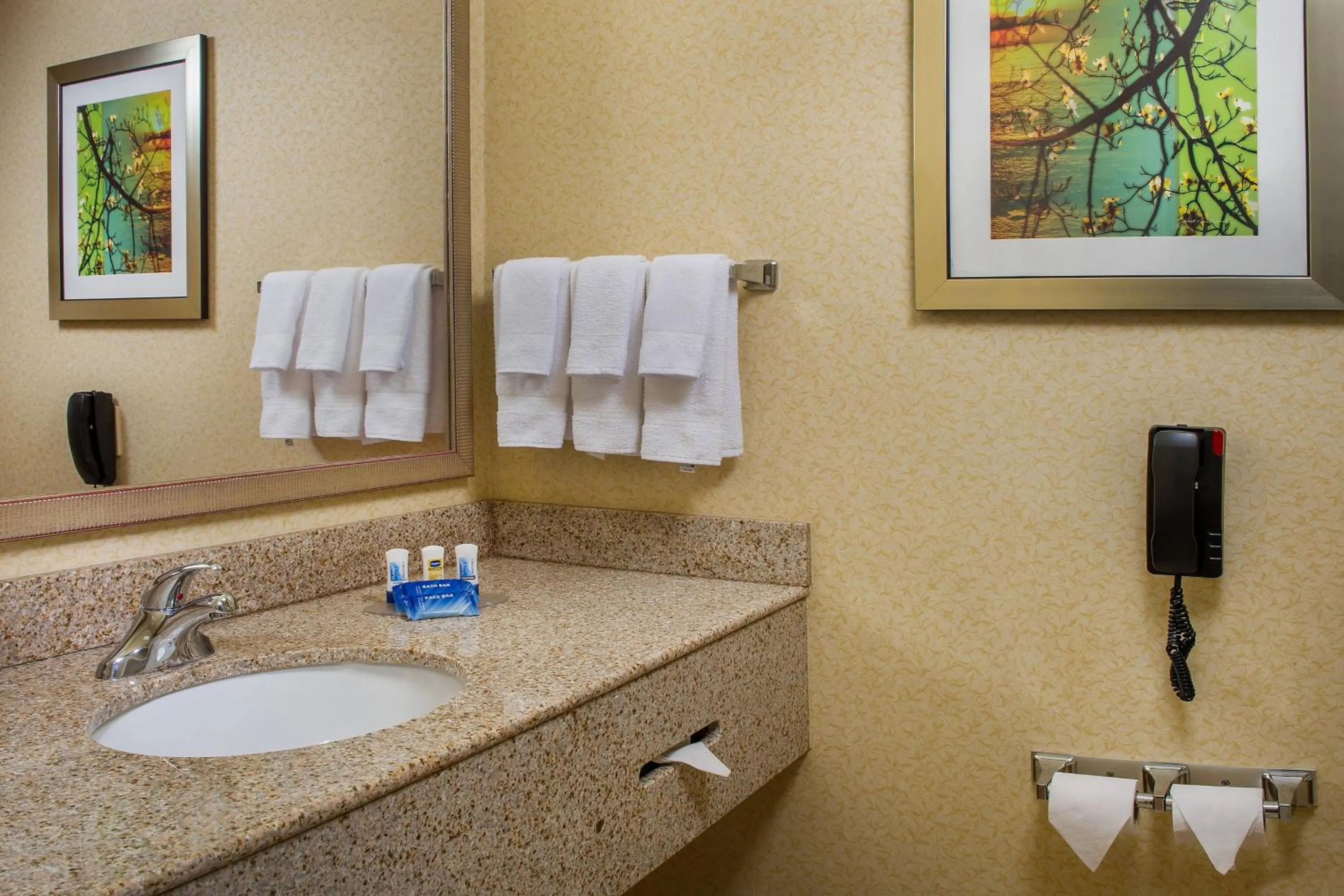 Bathroom in Fairfield Inn and Suites Wilson