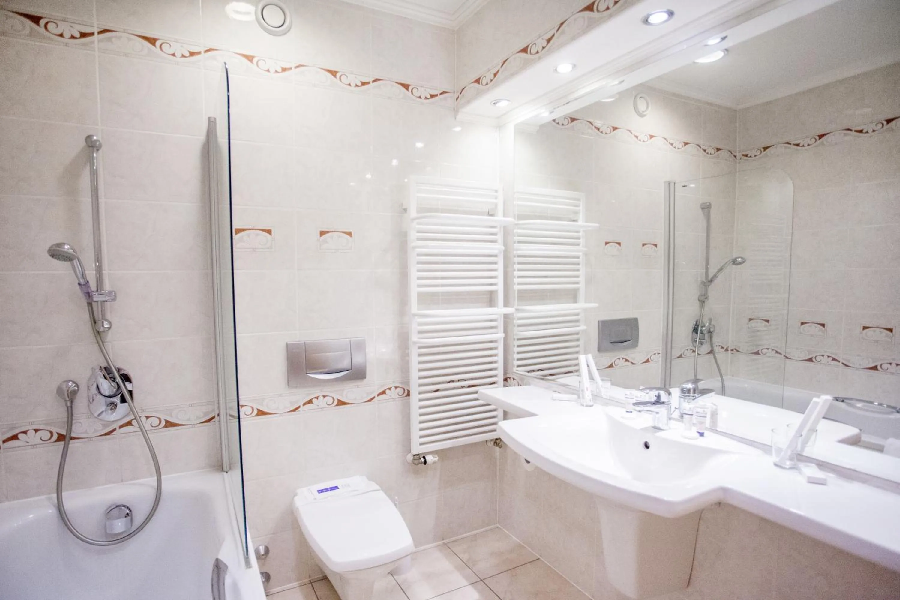 Toilet in Hotel Szydłowski