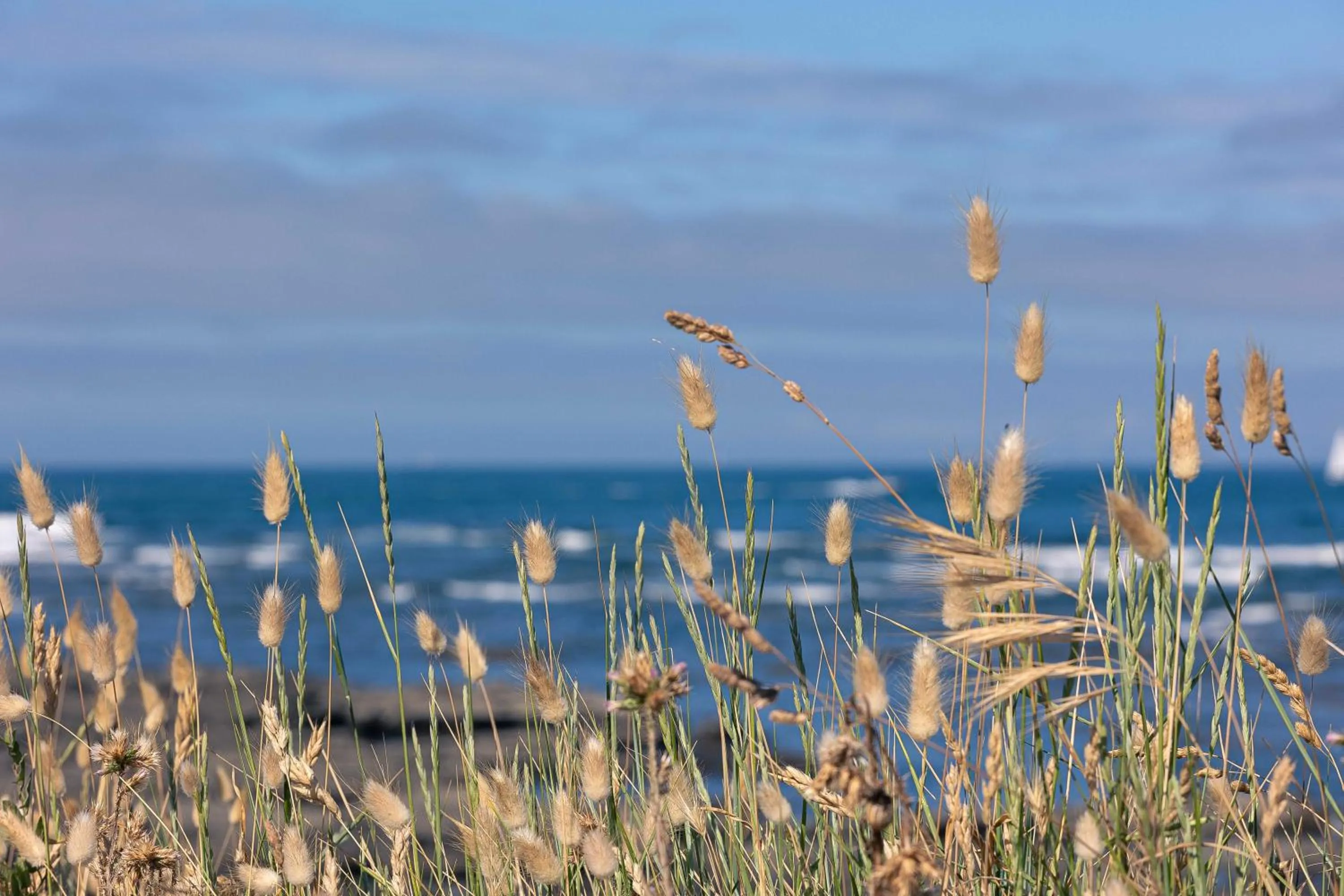 Day in Logis Hôtel Le Calluna Restaurant La Flottille