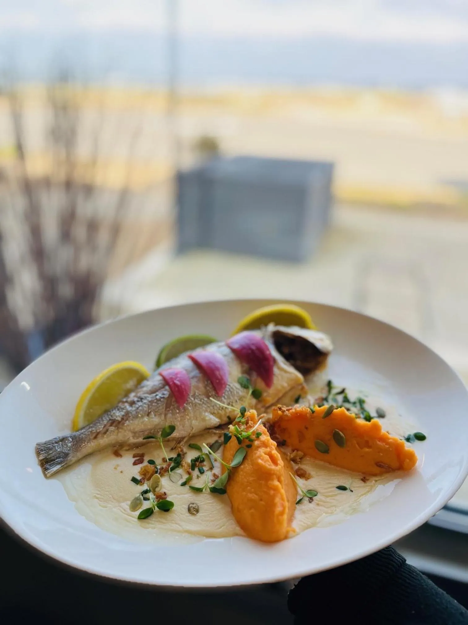 Food and drinks in Logis Hôtel Le Calluna Restaurant La Flottille