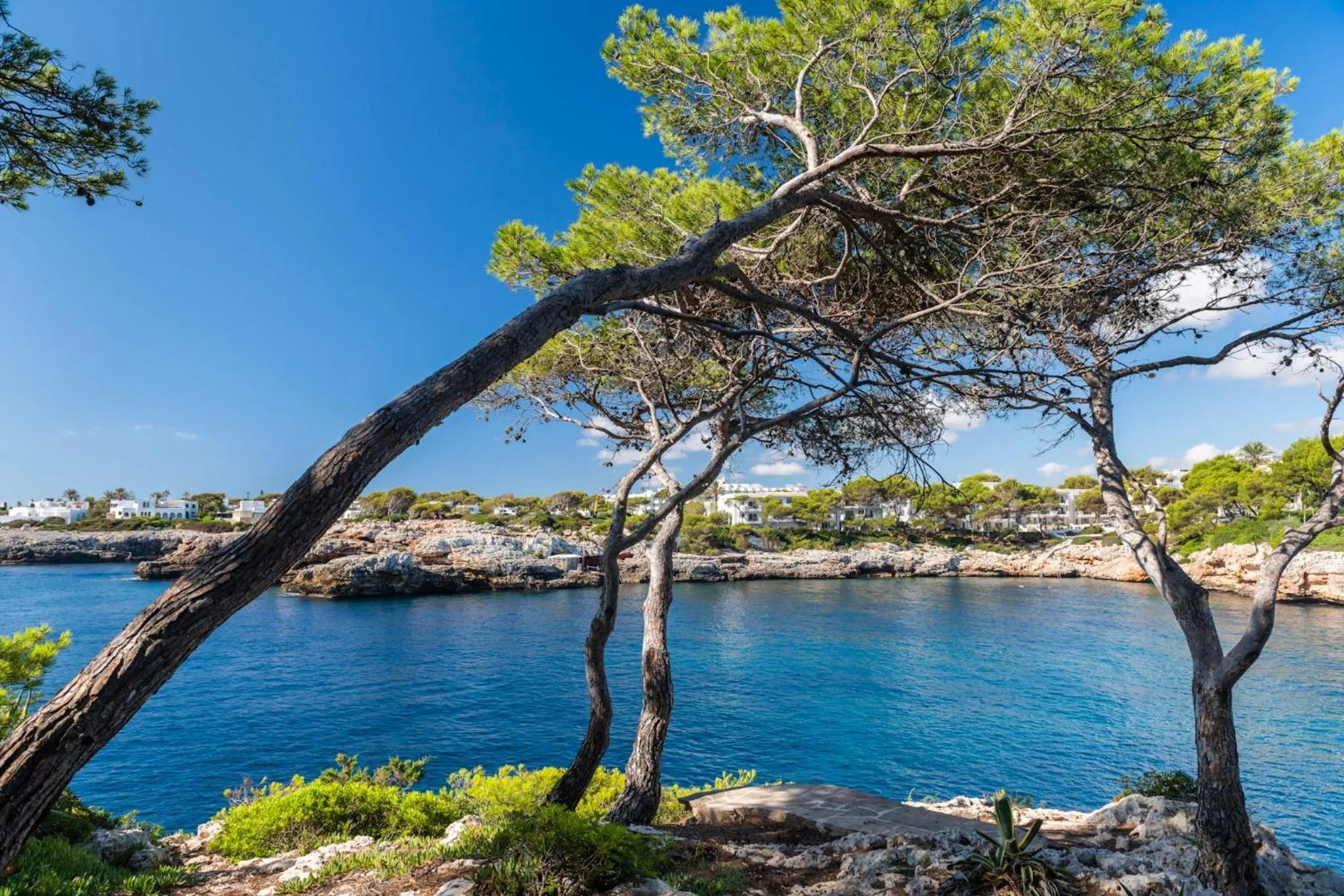 Sea view in Inturotel Cala Azul